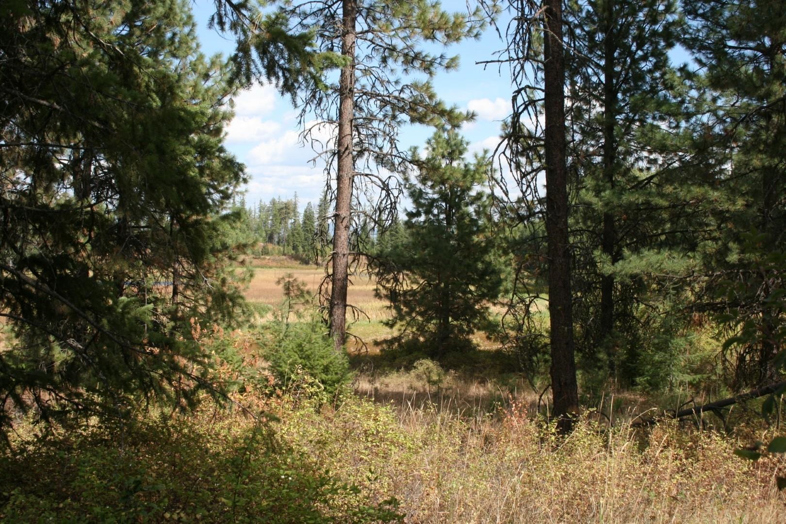 00 Little Sweden Rd - Photo 7