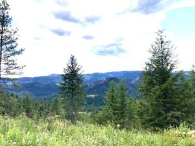 4xx #T BUFFY Ln - Photo 7
