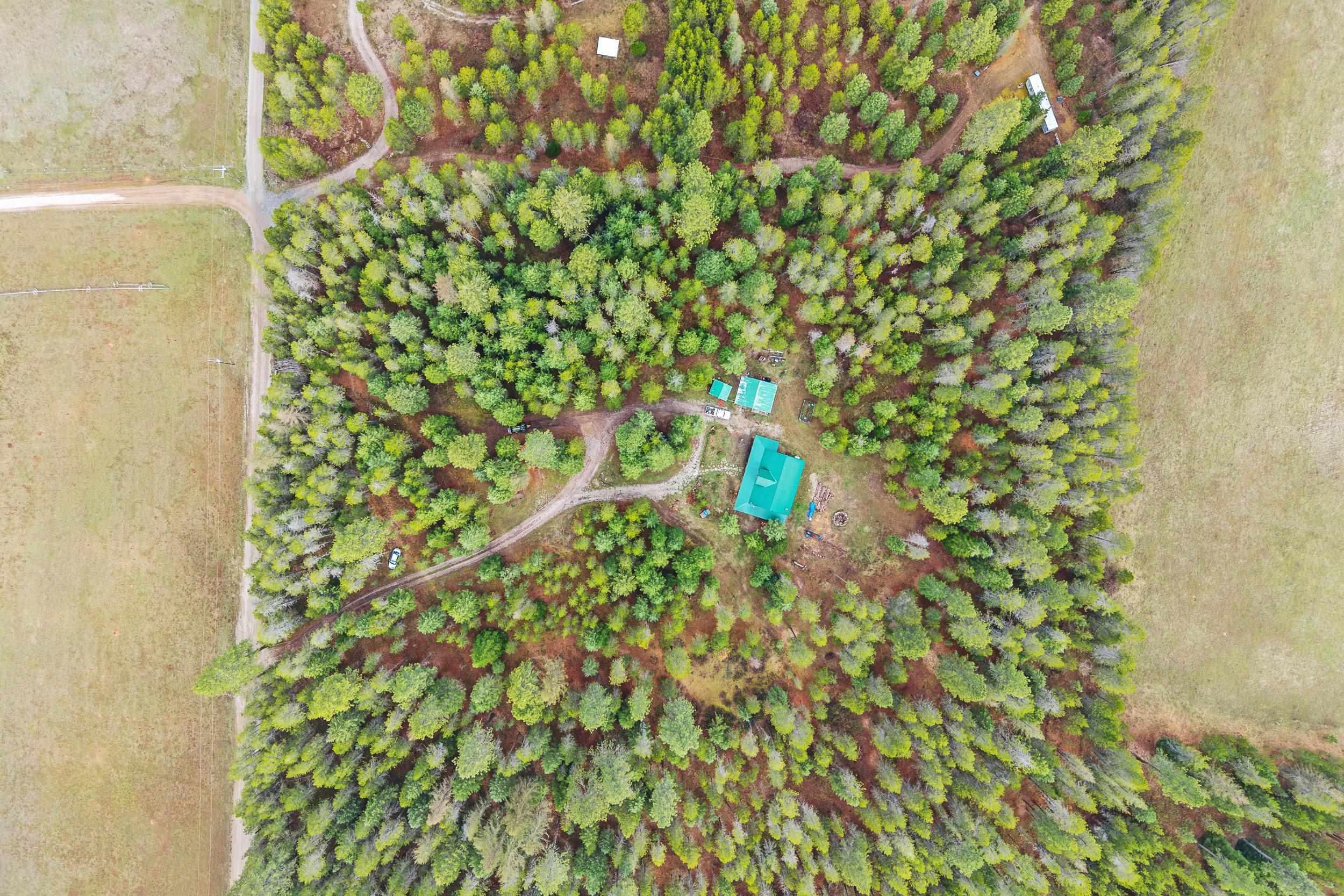 4430F Springdale Hunters Rd - Photo 49