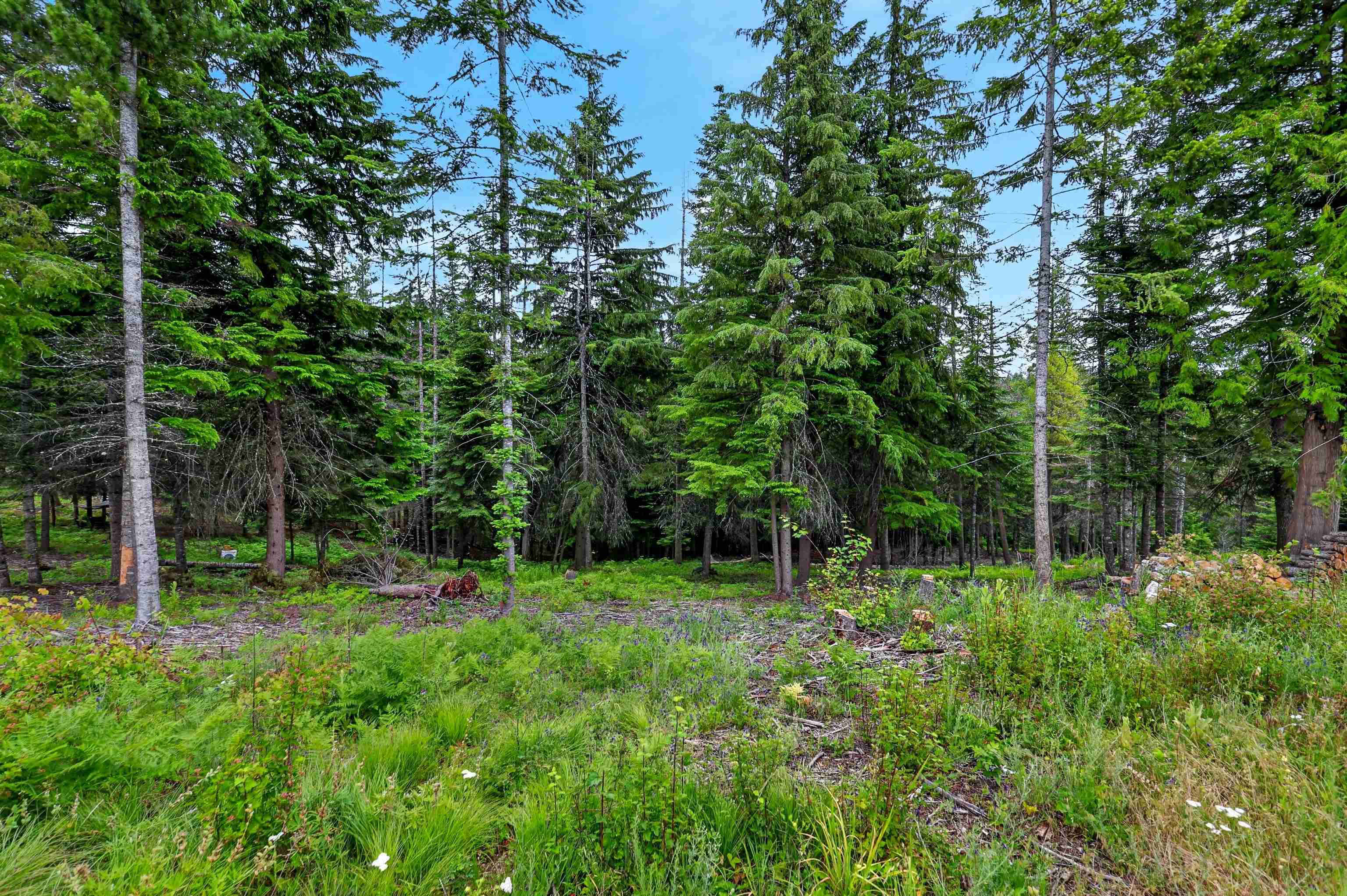 14408 N Mountain View Ln - Photo 22