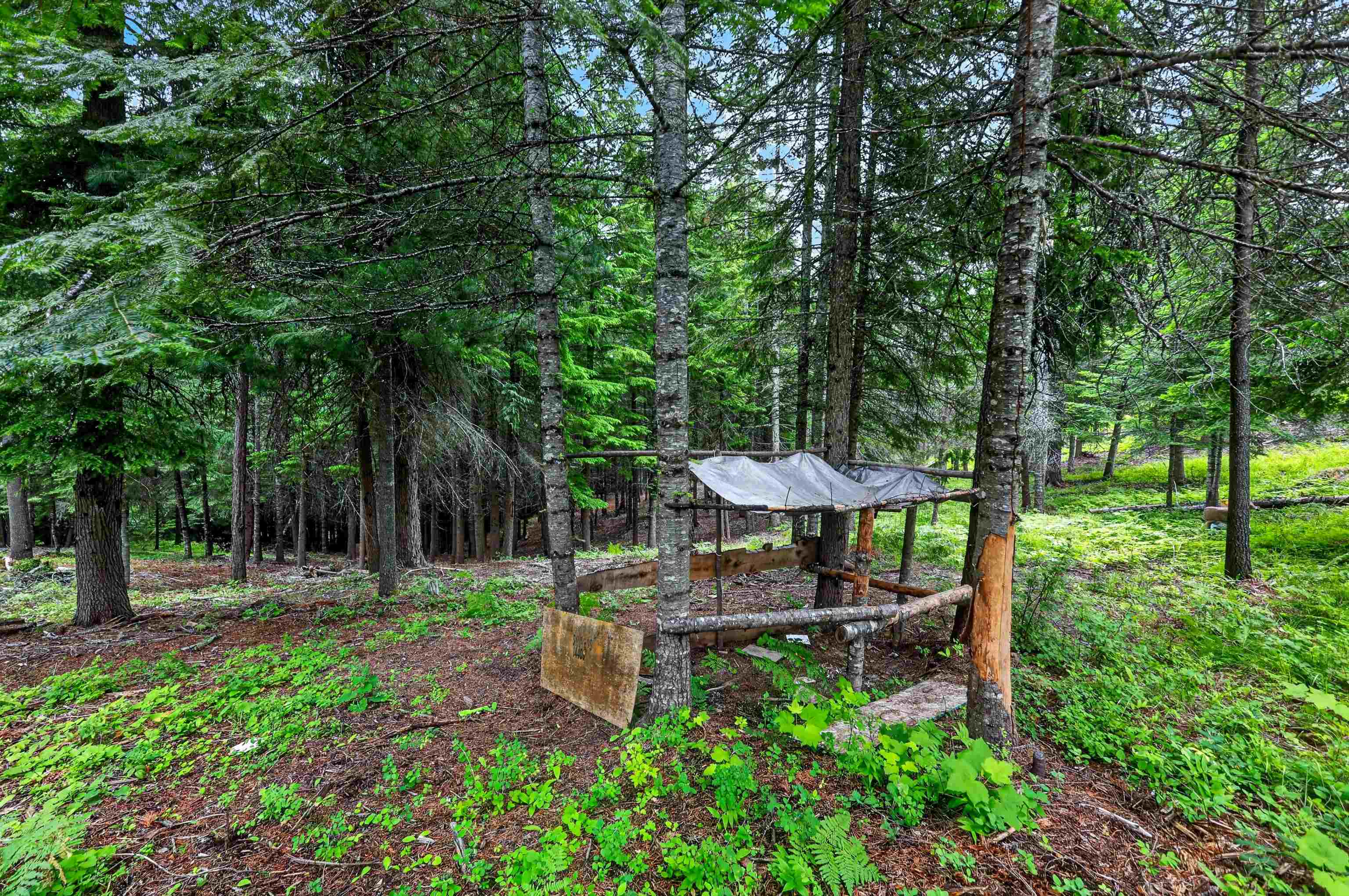 14408 N Mountain View Ln - Photo 23