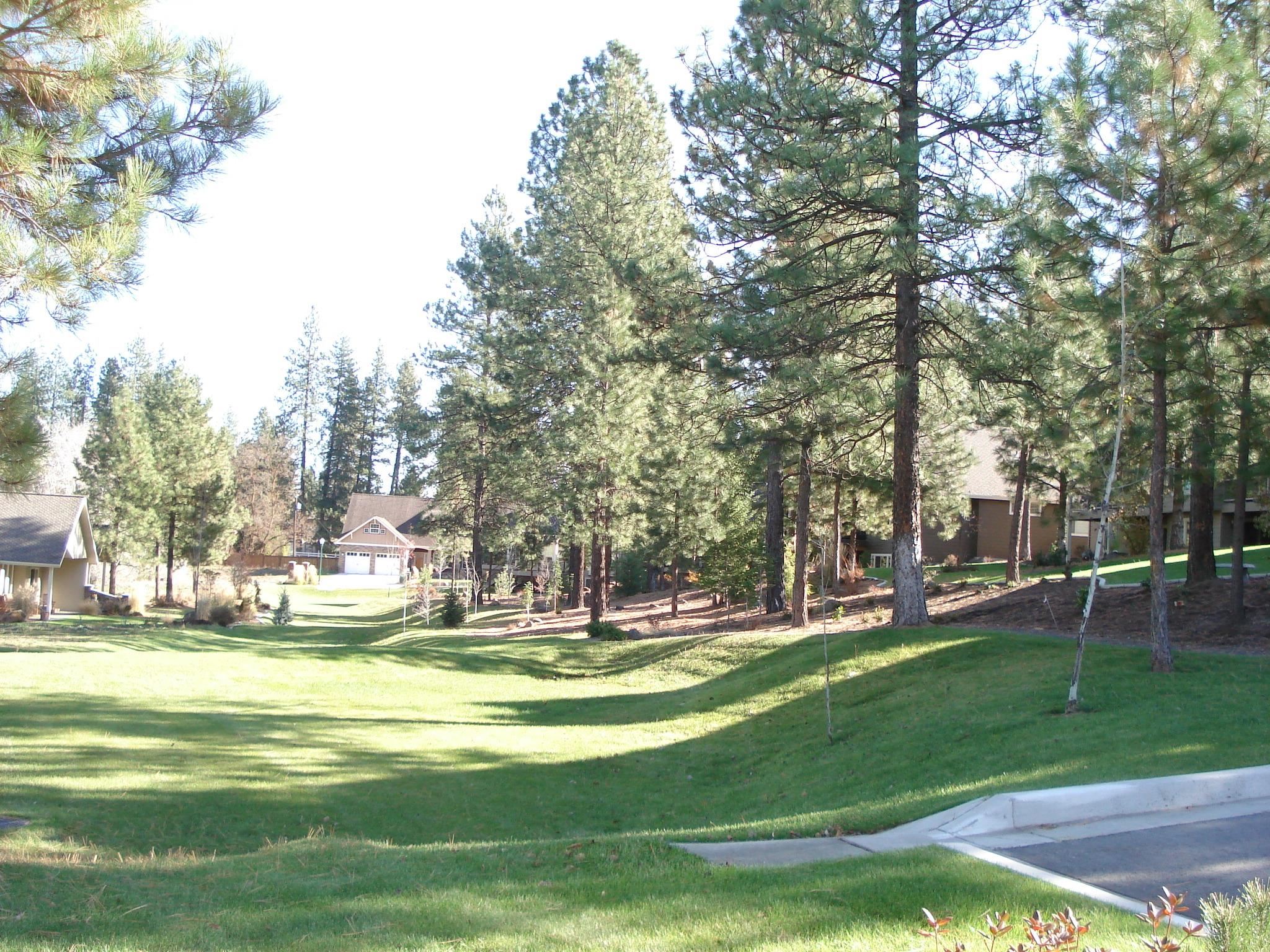 2016 W Forest Hill Ln - Photo 46