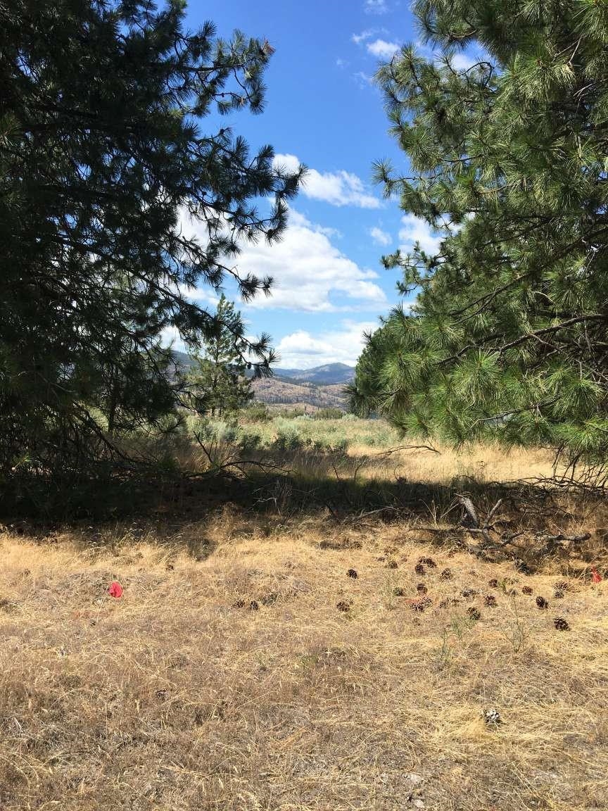 42805 Antler Dr - Photo 3