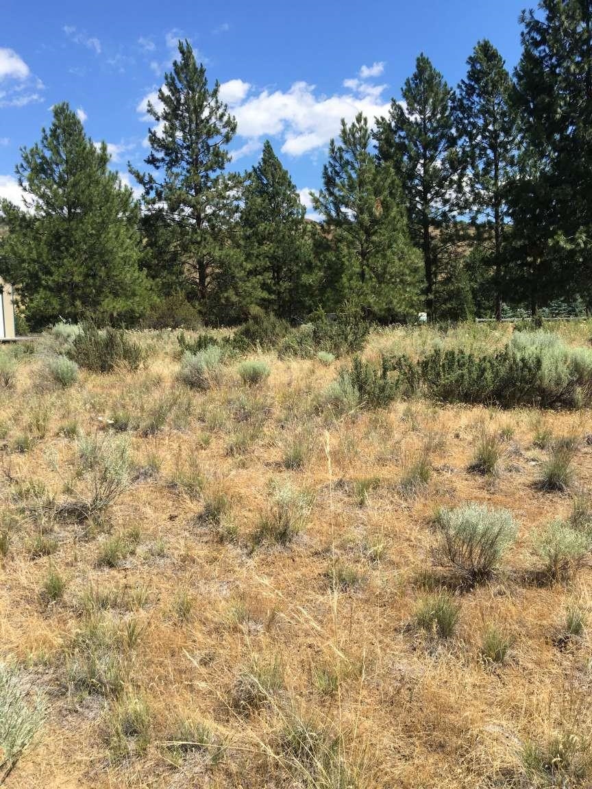 42805 Antler Dr - Photo 4