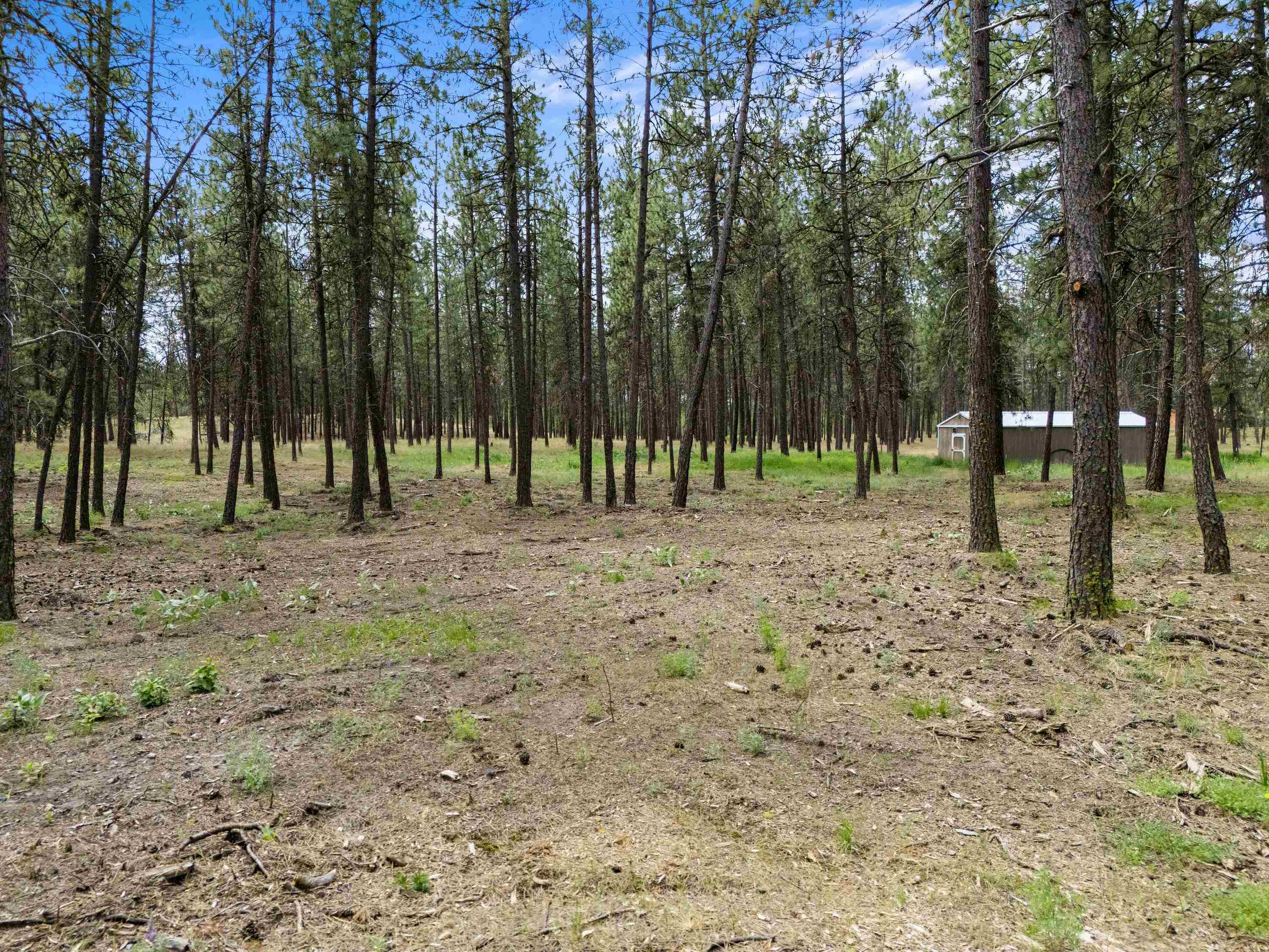 16423 S Maple Rd - Photo 43