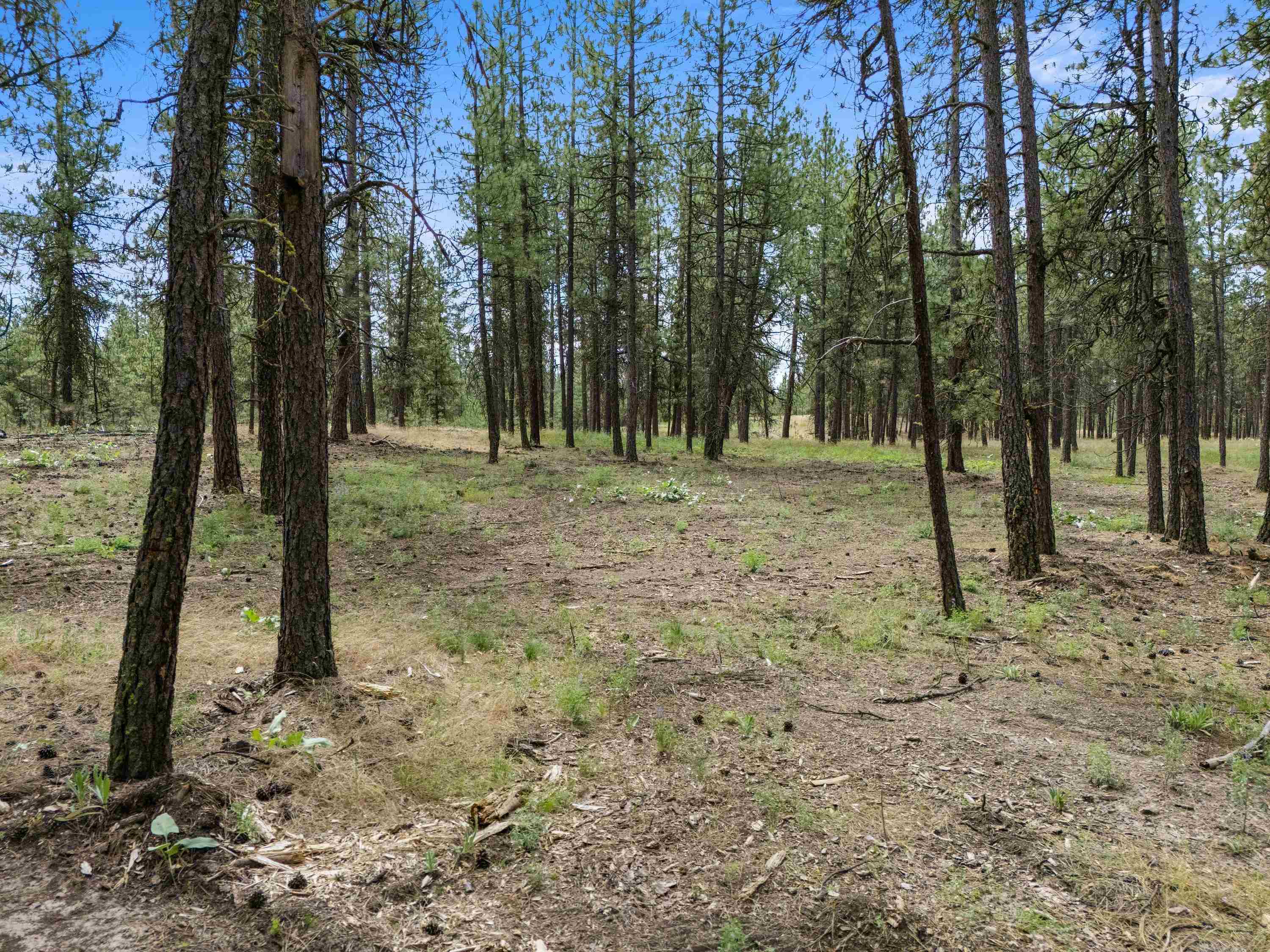 16423 S Maple Rd - Photo 44