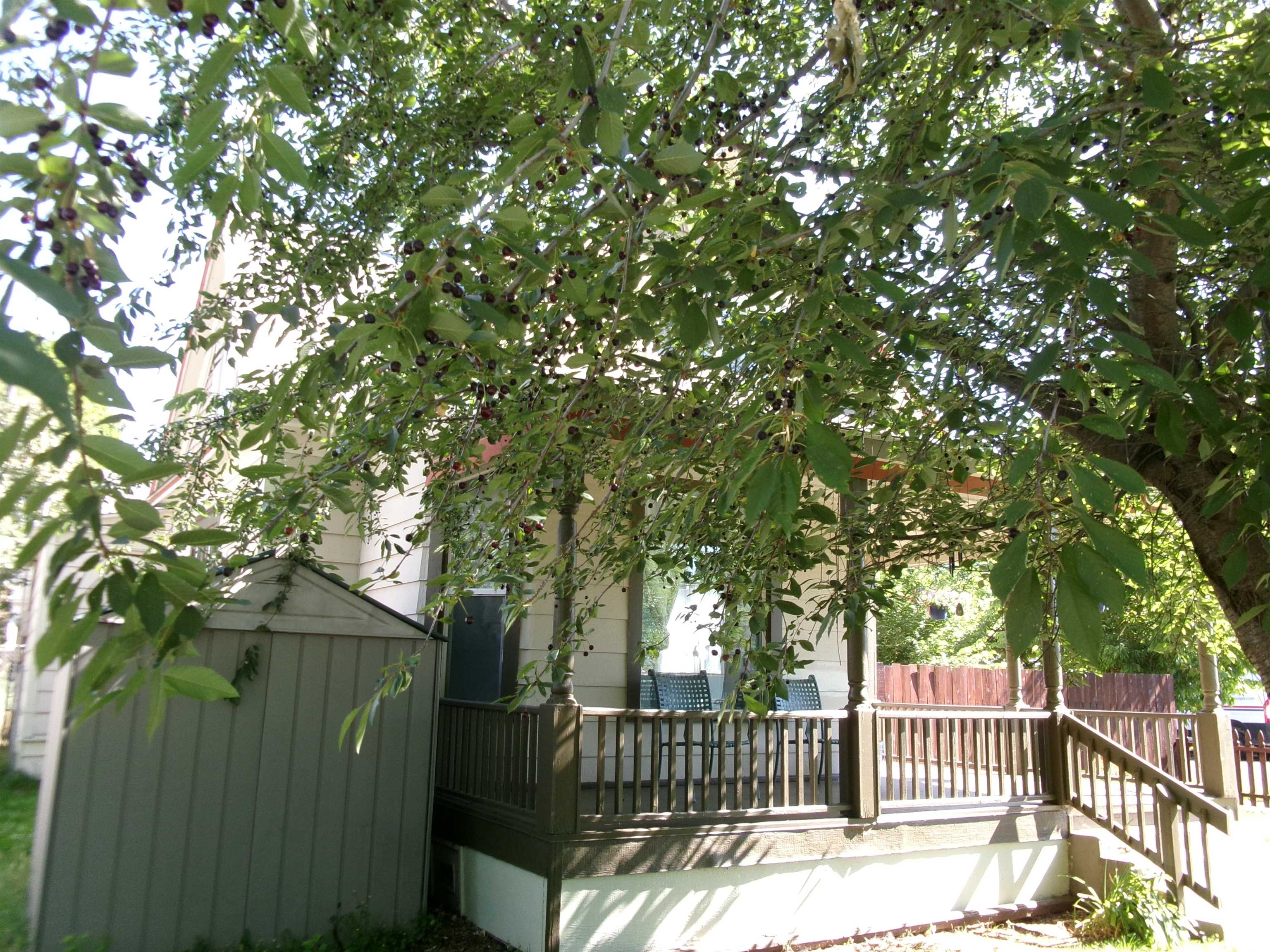 2004 W Broadway Ave - Photo 5