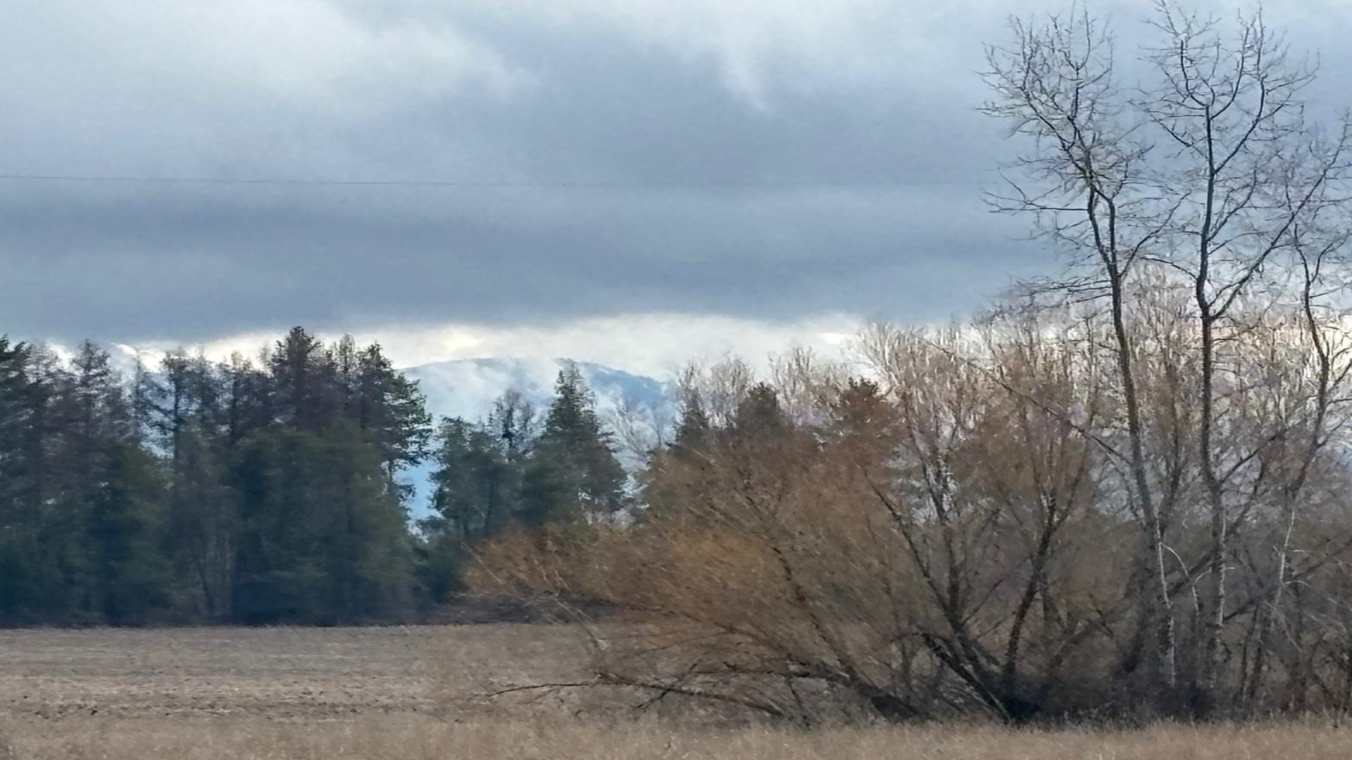 413XX N Short Rd - Photo 15
