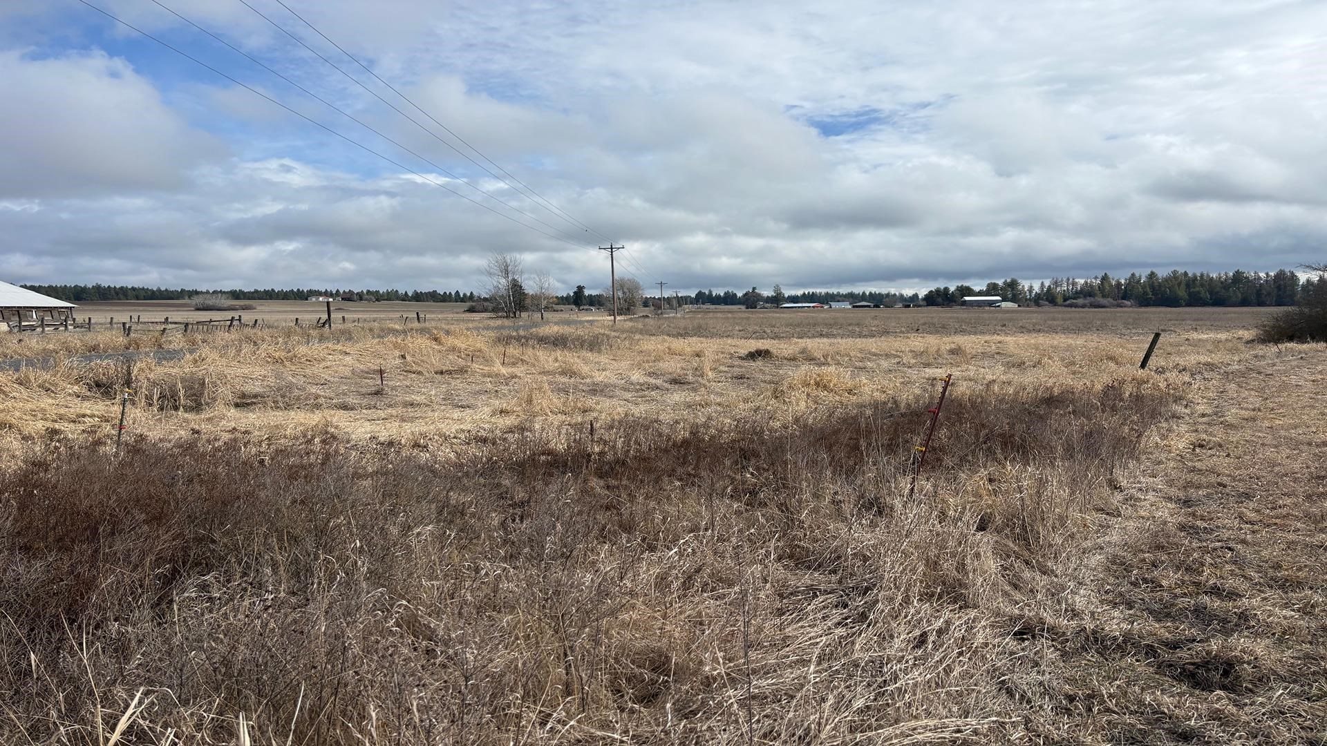 413XX N Short Rd - Photo 16
