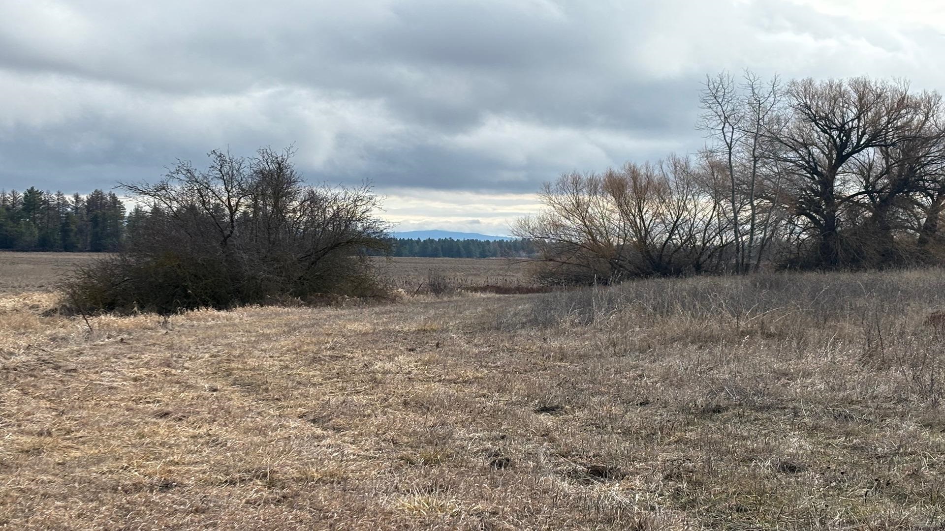 413XX N Short Rd - Photo 17