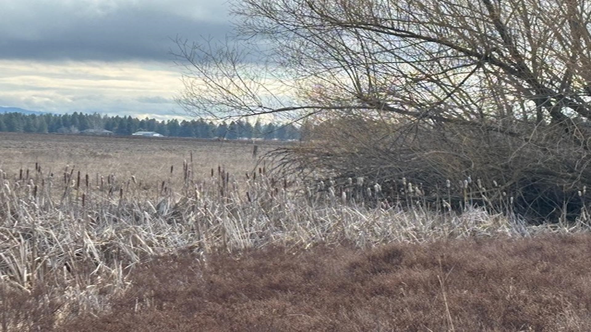 413XX N Short Rd - Photo 25