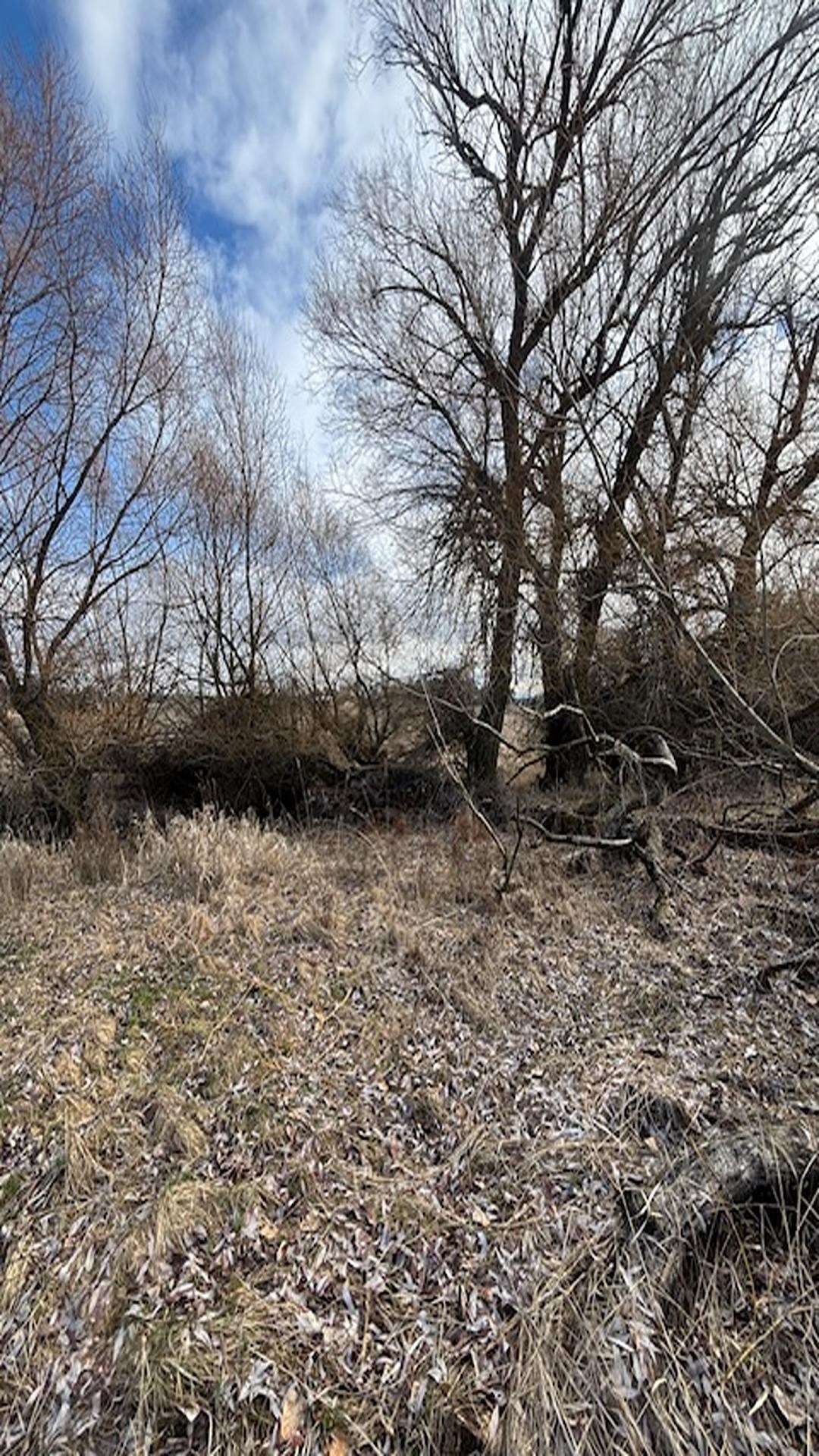 413XX N Short Rd - Photo 29