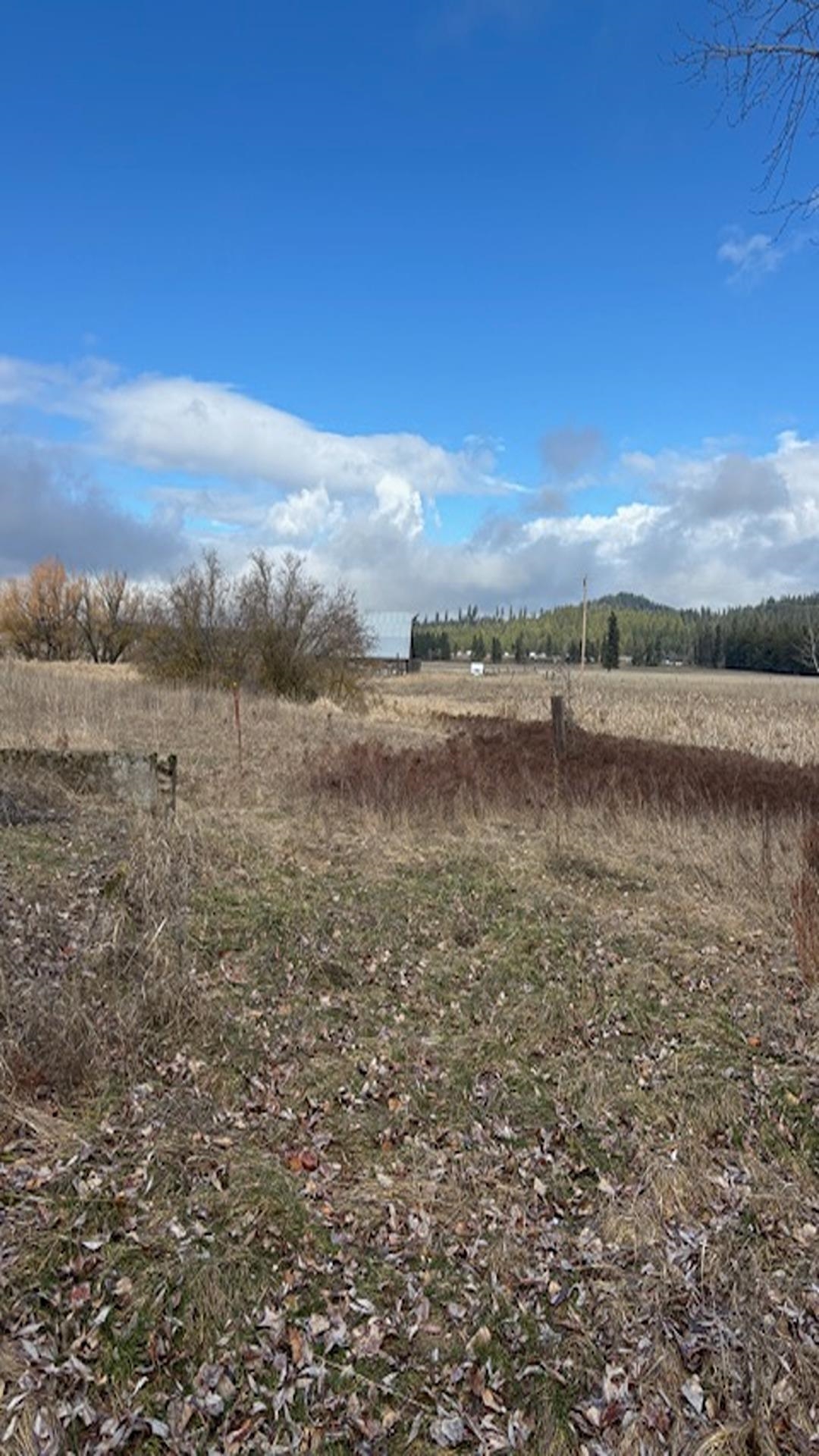 413XX N Short Rd - Photo 30