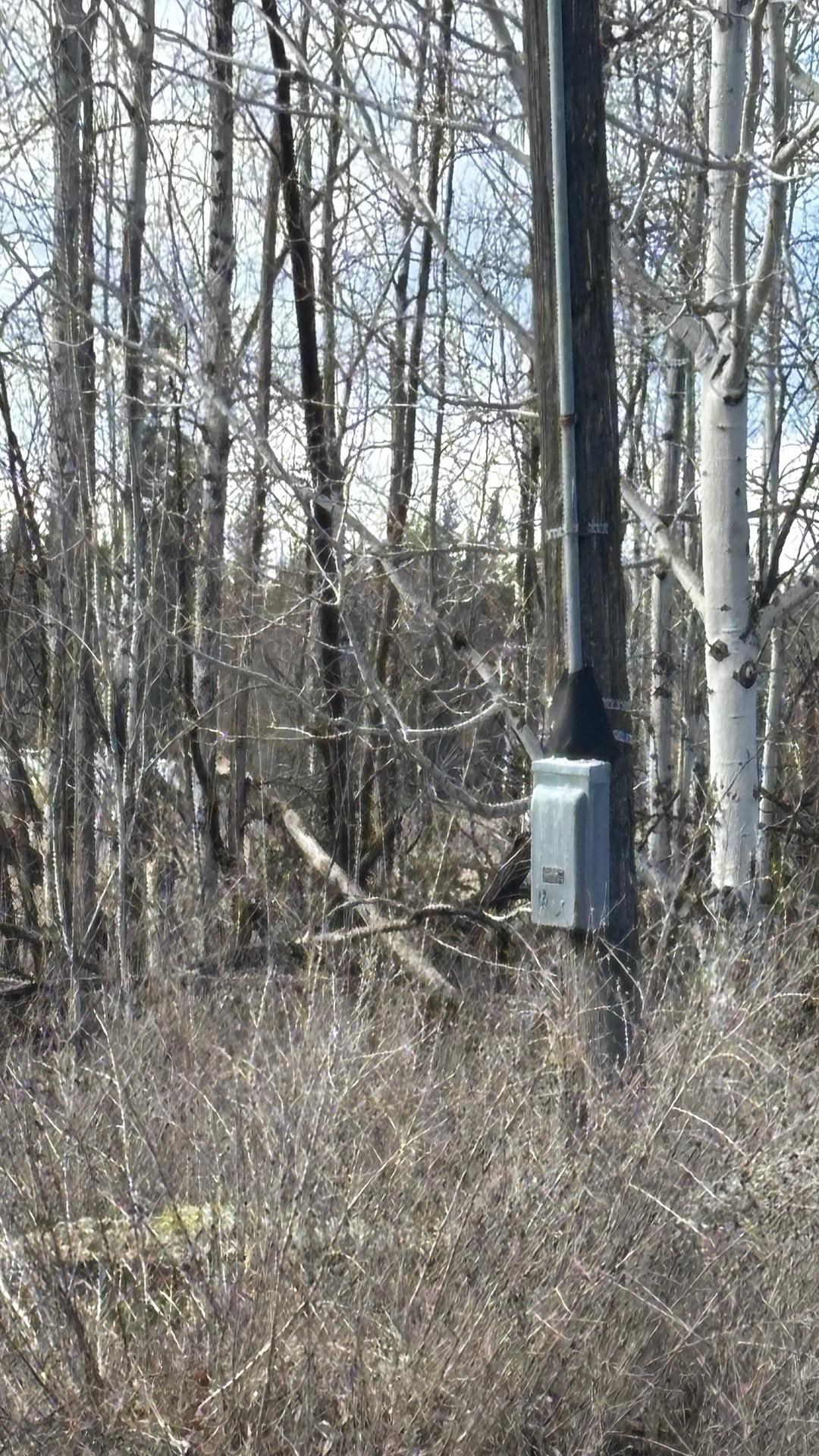 413XX N Short Rd - Photo 34