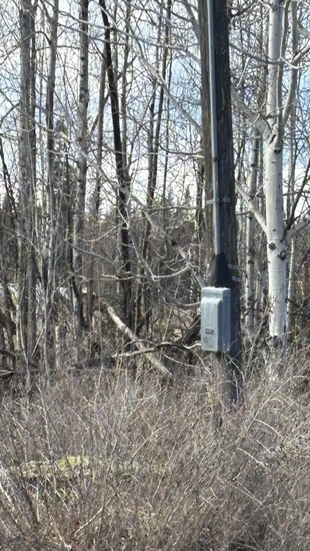 413XX N Short Rd - Photo 35