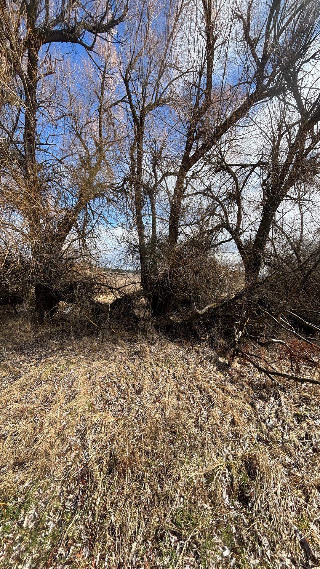 413XX N Short Rd - Photo 36