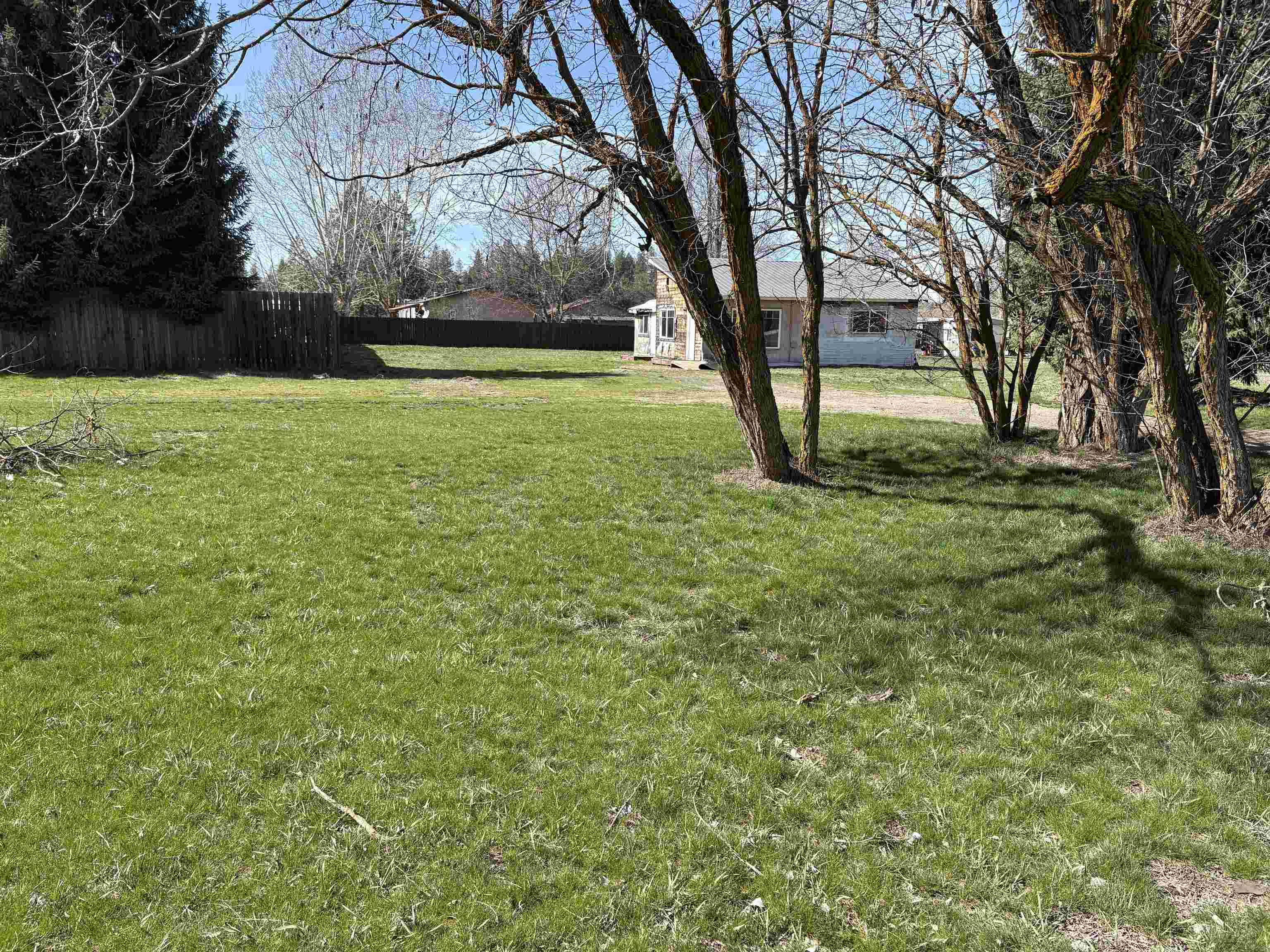 107 N Fir St - Photo 4