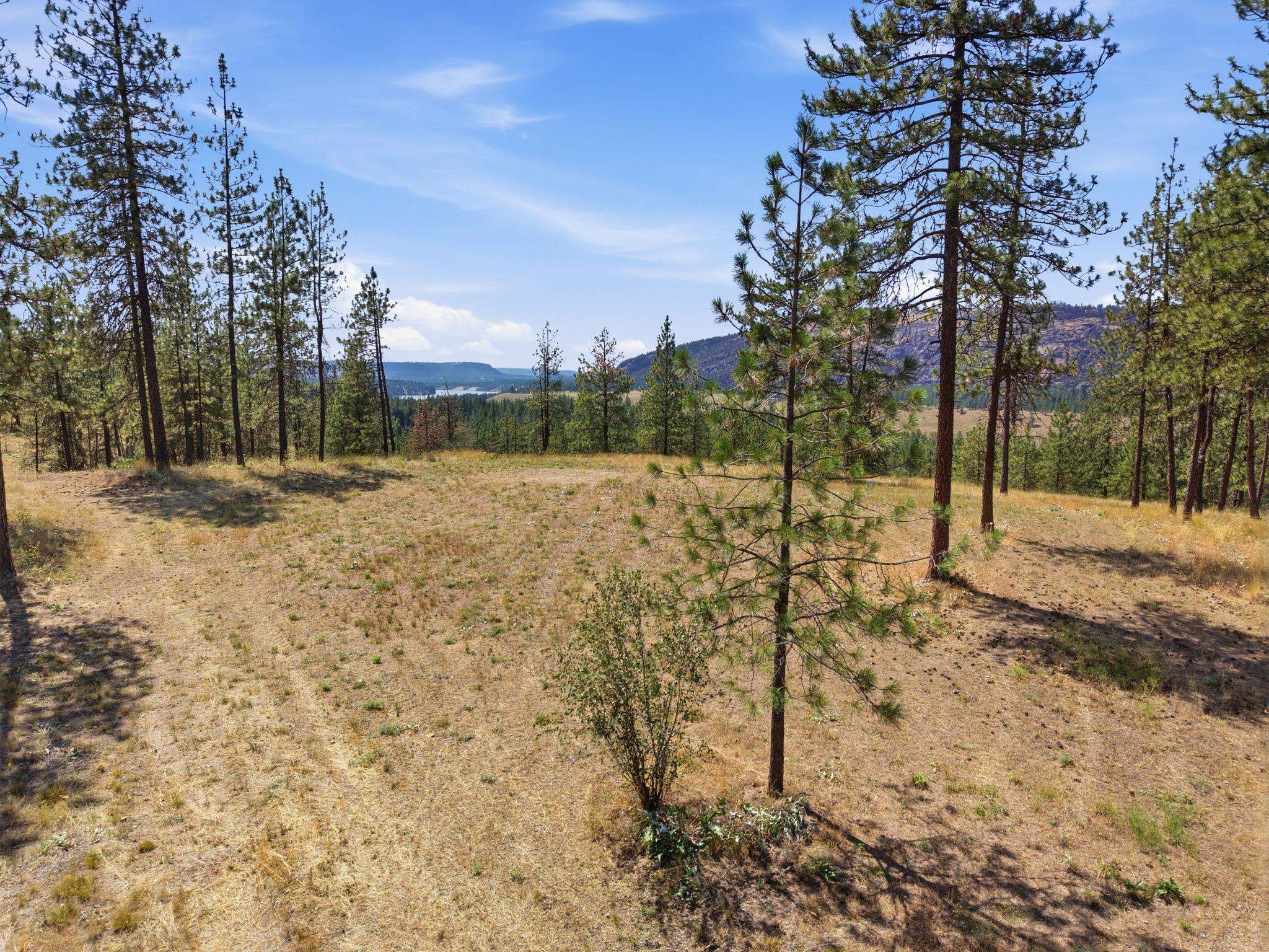 21609 W South Bank Rd - Photo 3