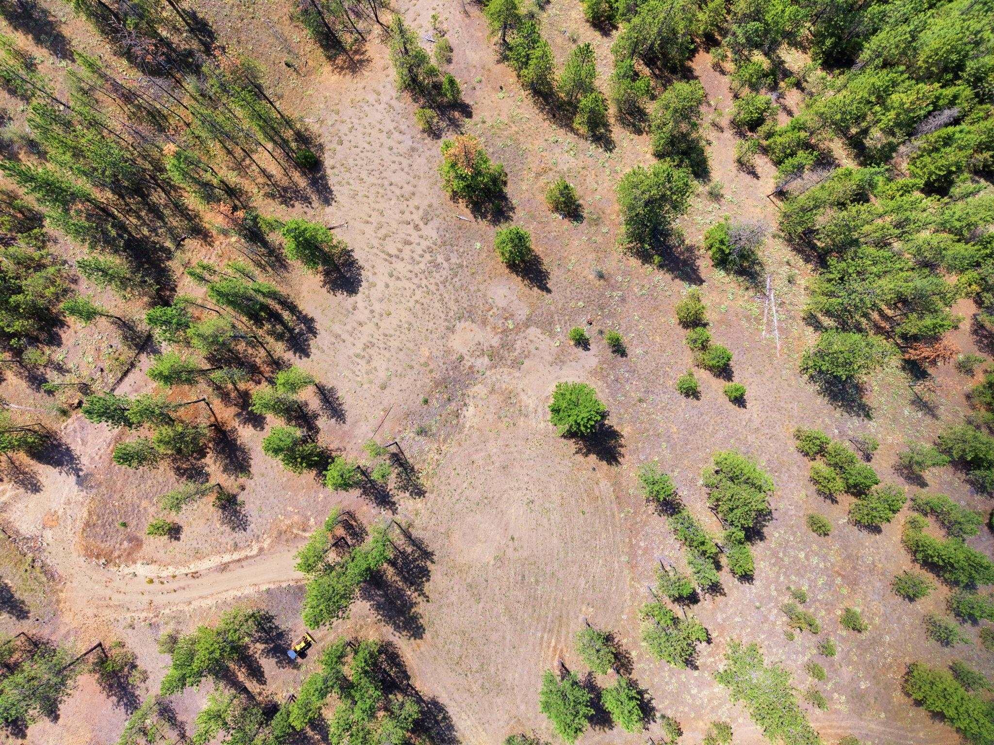 21609 W South Bank Rd - Photo 5