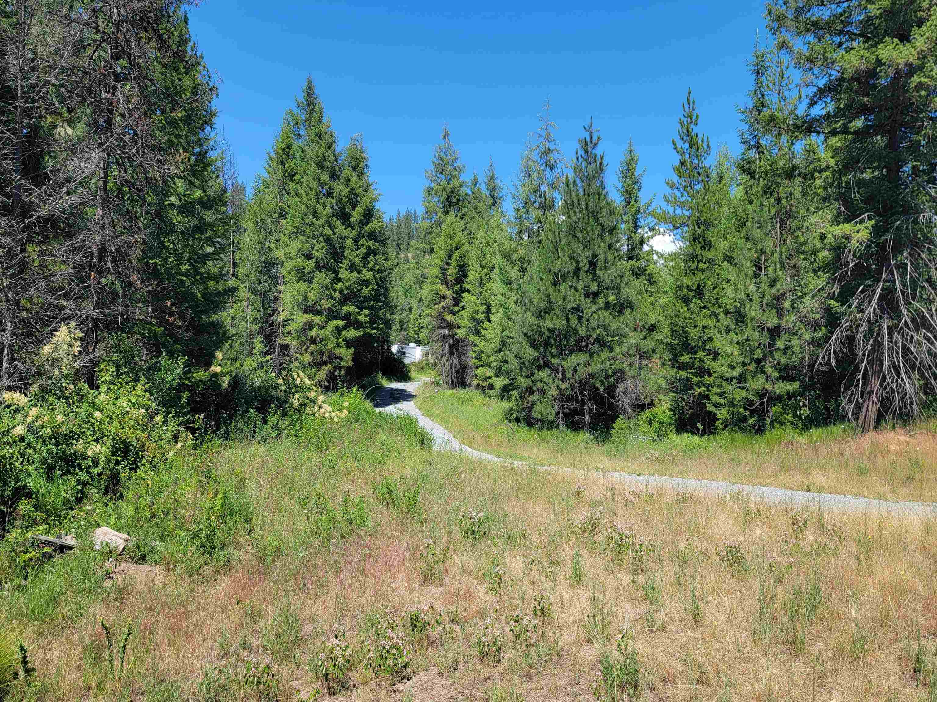 1456 & 1460 Misty Ridge Ln - Photo 6