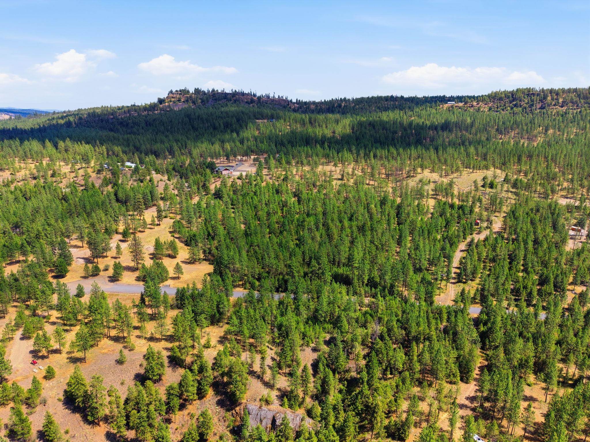 21517 W South Bank Rd - Photo 4