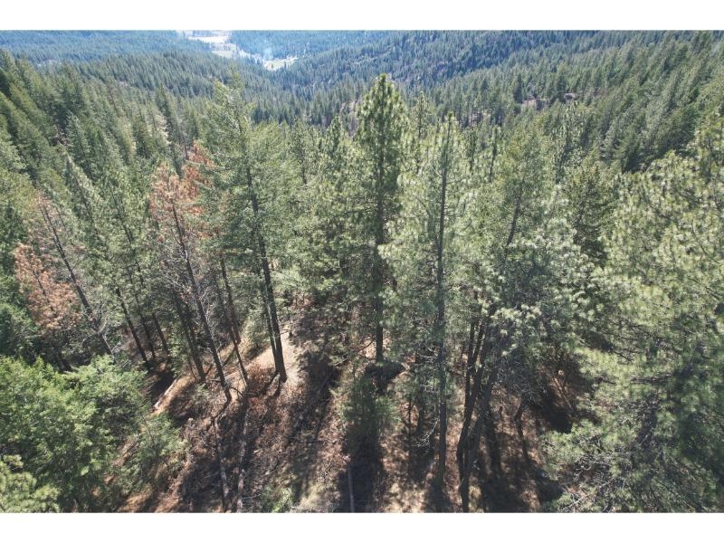 114xx N Judkins Ln - Photo 16