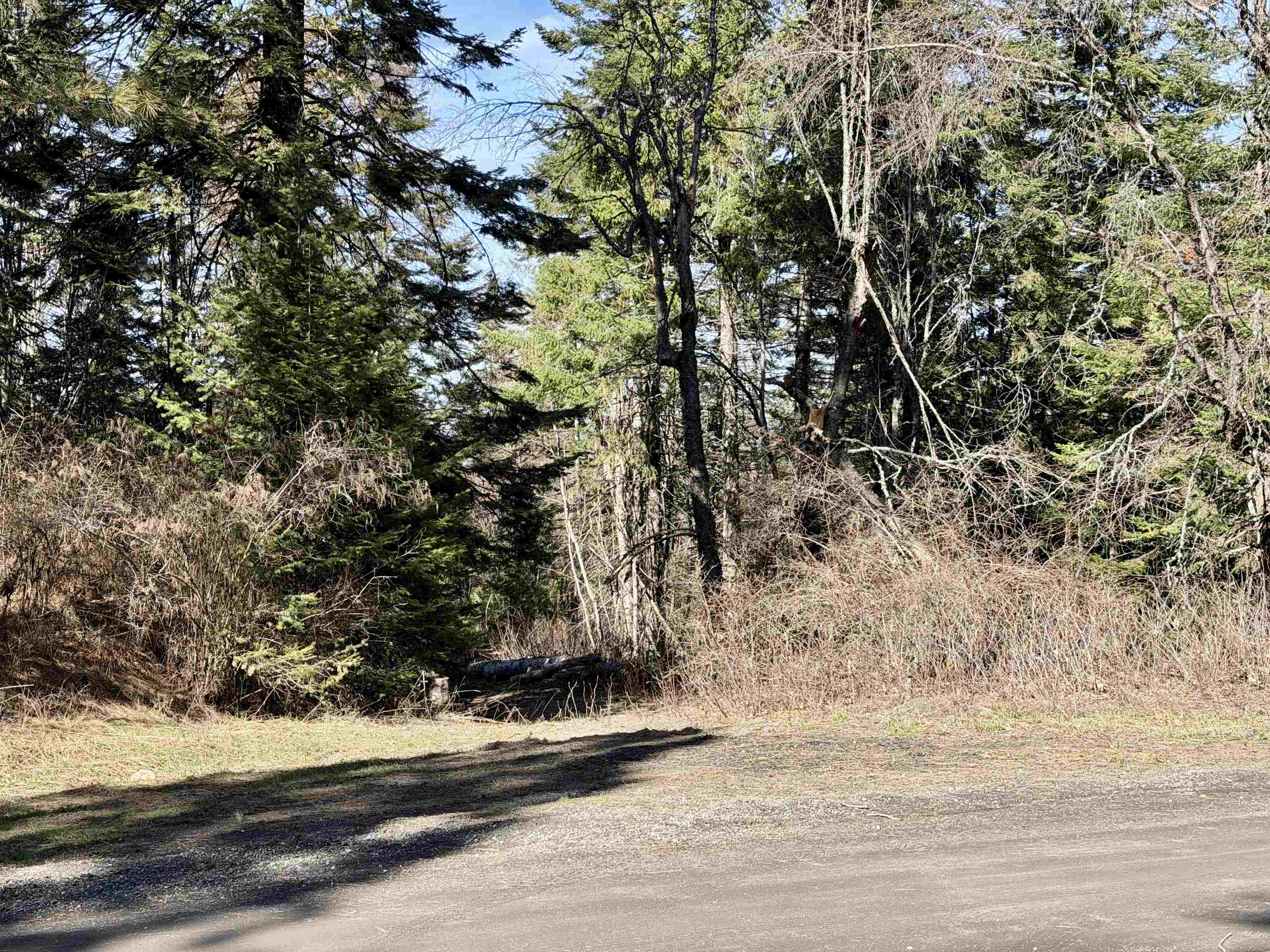 114xx N Judkins Ln - Photo 25