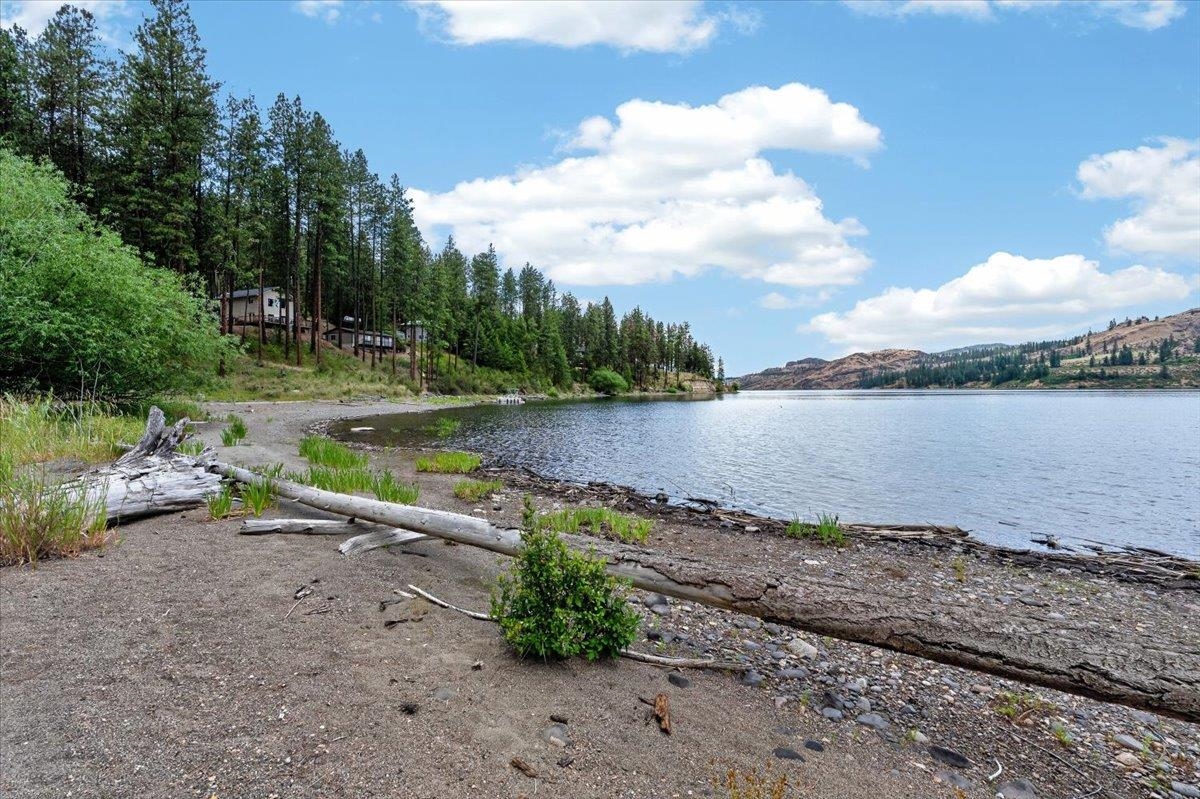 42049 Porcupine Bay N Rd - Photo 2
