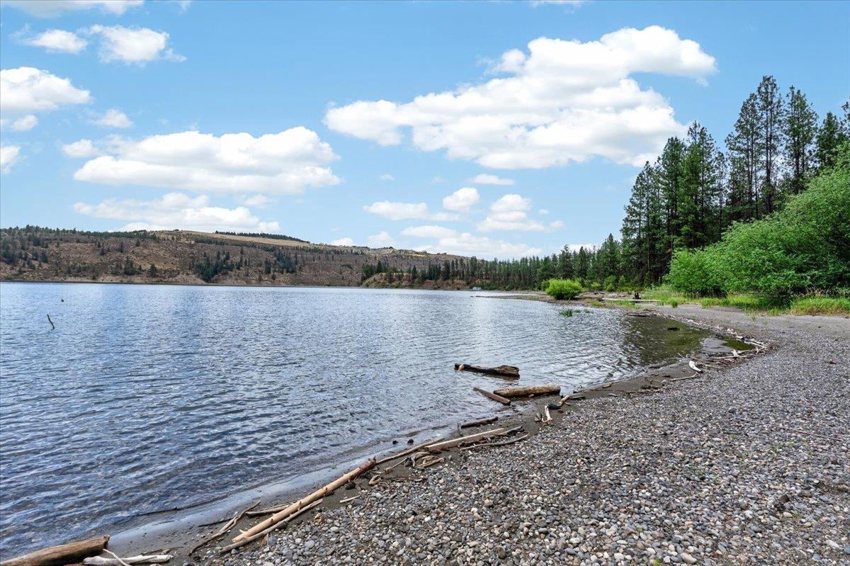 42049 Porcupine Bay N Rd - Photo 3