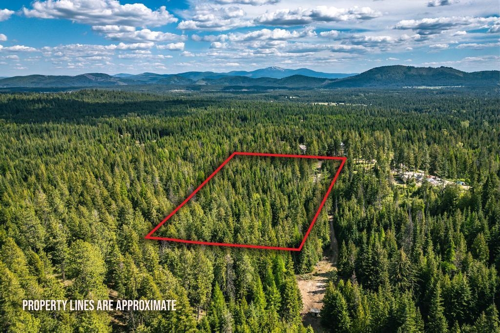 270 Lupine Ln - Photo 3