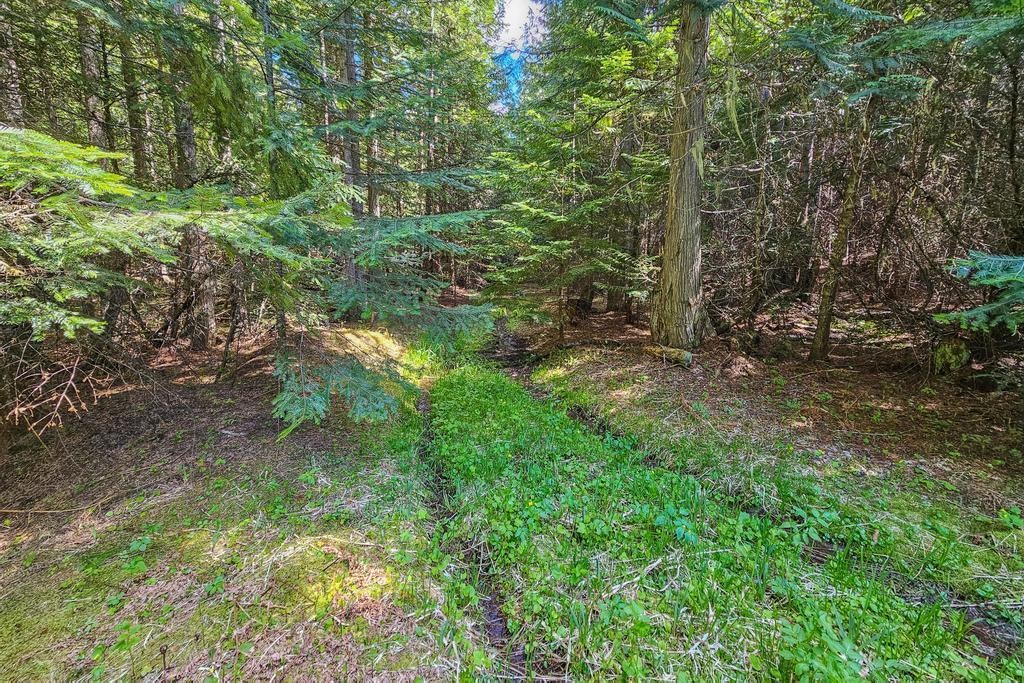 270 Lupine Ln - Photo 5