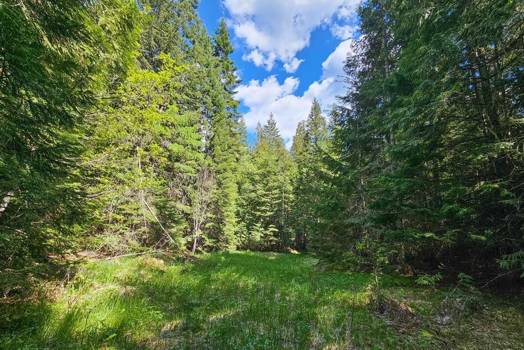 270 Lupine Ln - Photo 6