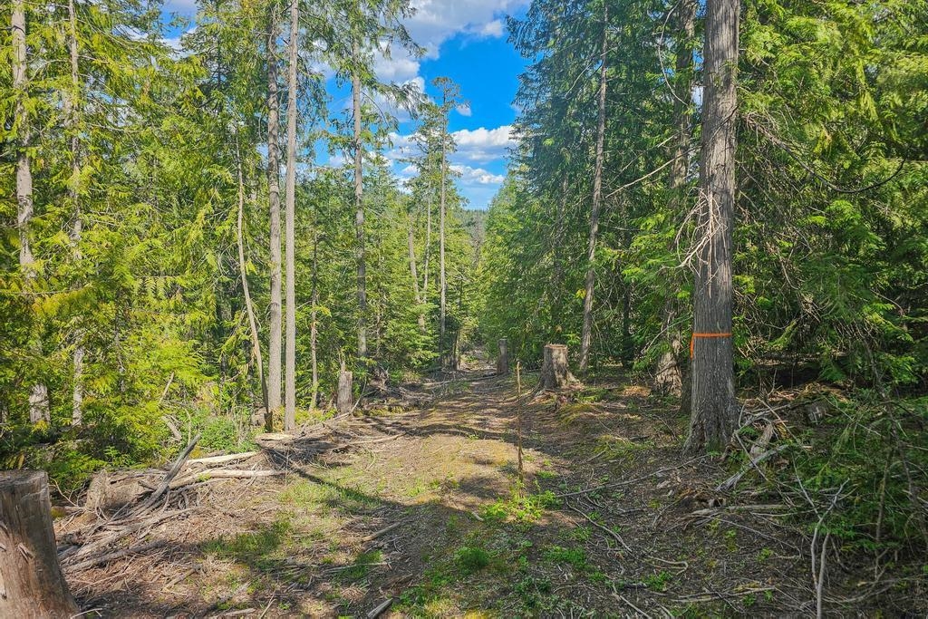 270 Lupine Ln - Photo 8