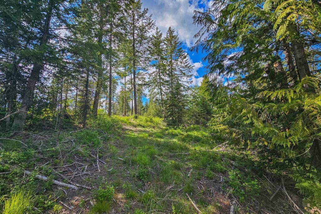 270 Lupine Ln - Photo 9