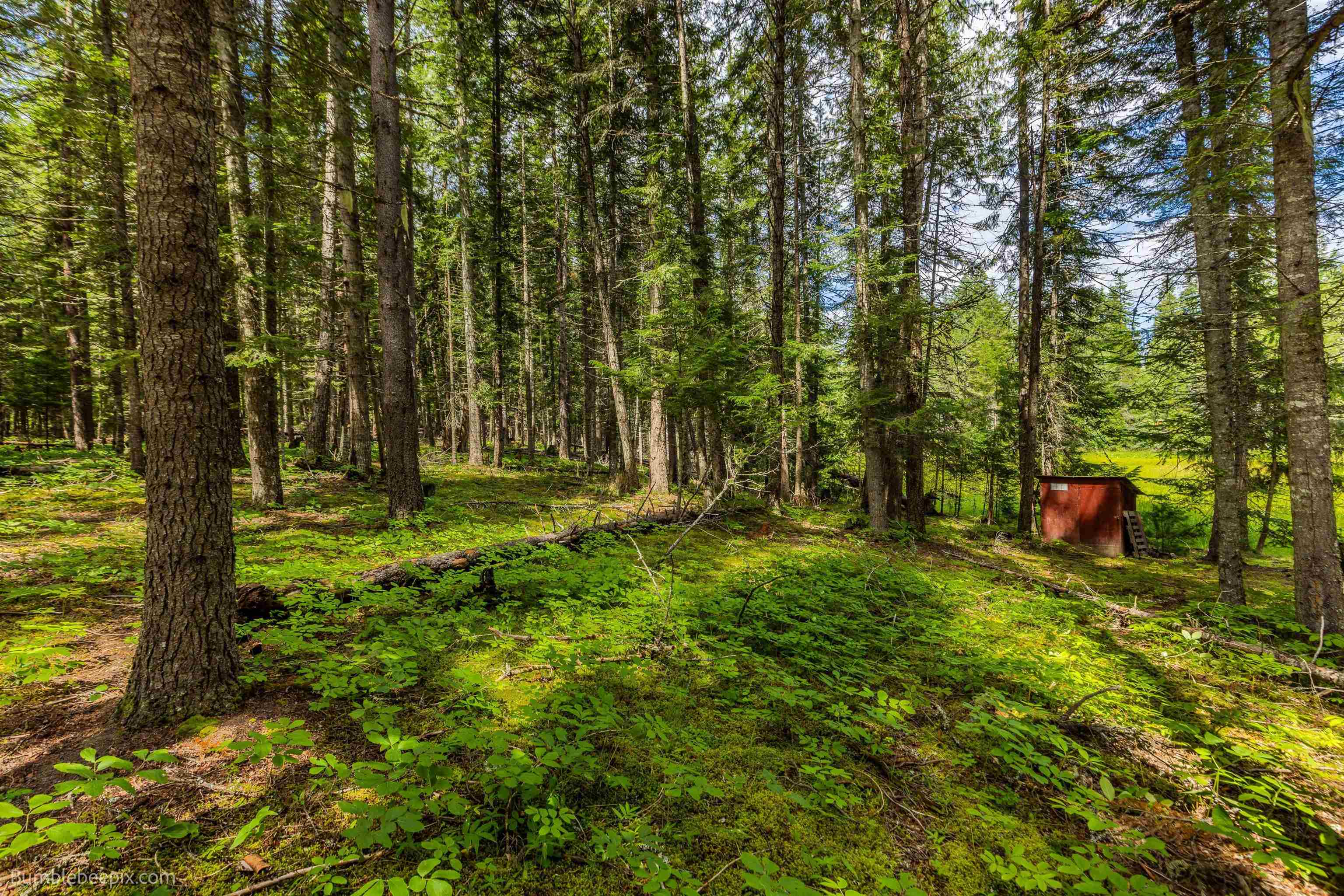 761 Larch Ln - Photo 8
