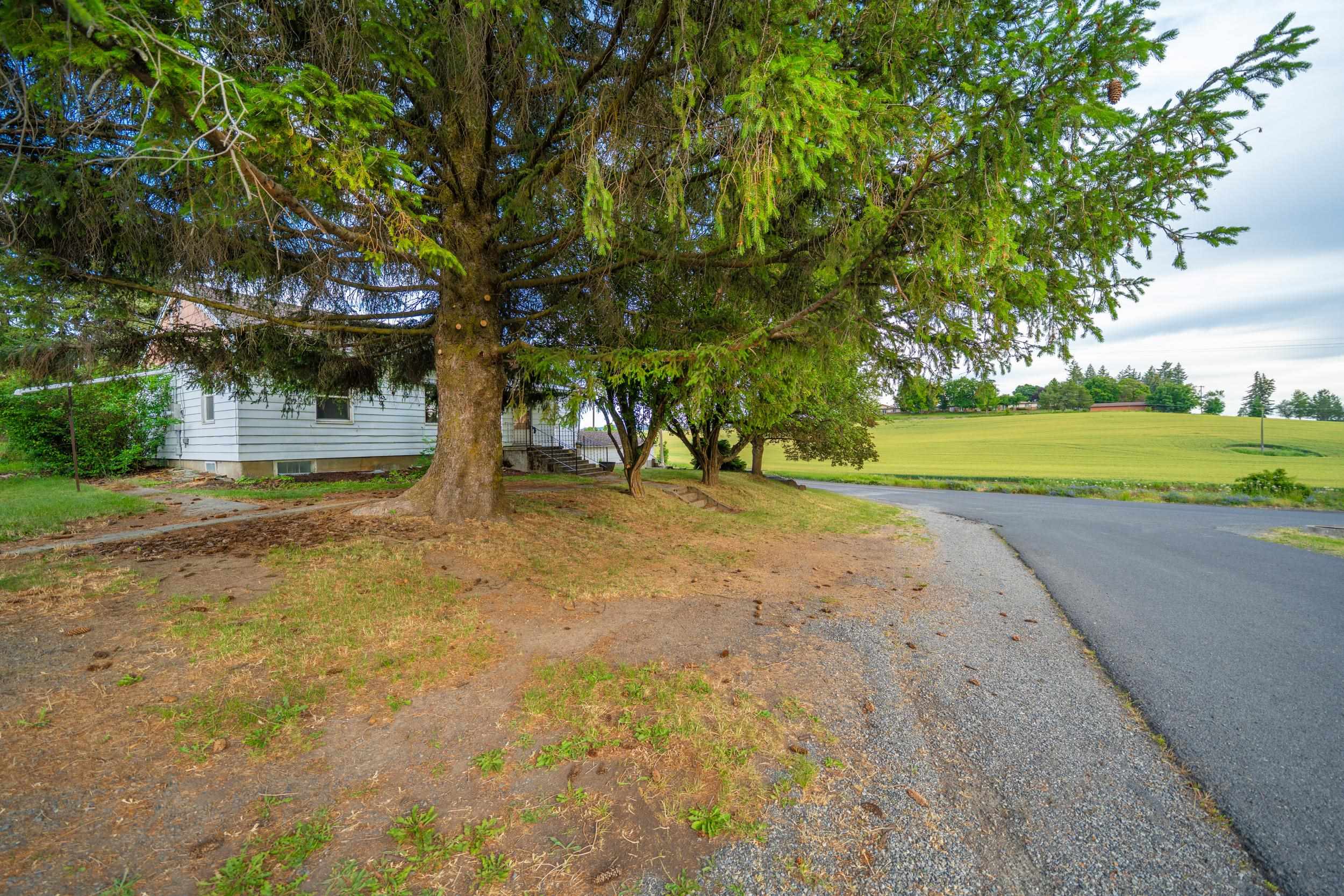 209 S Mcneil Ave - Photo 29