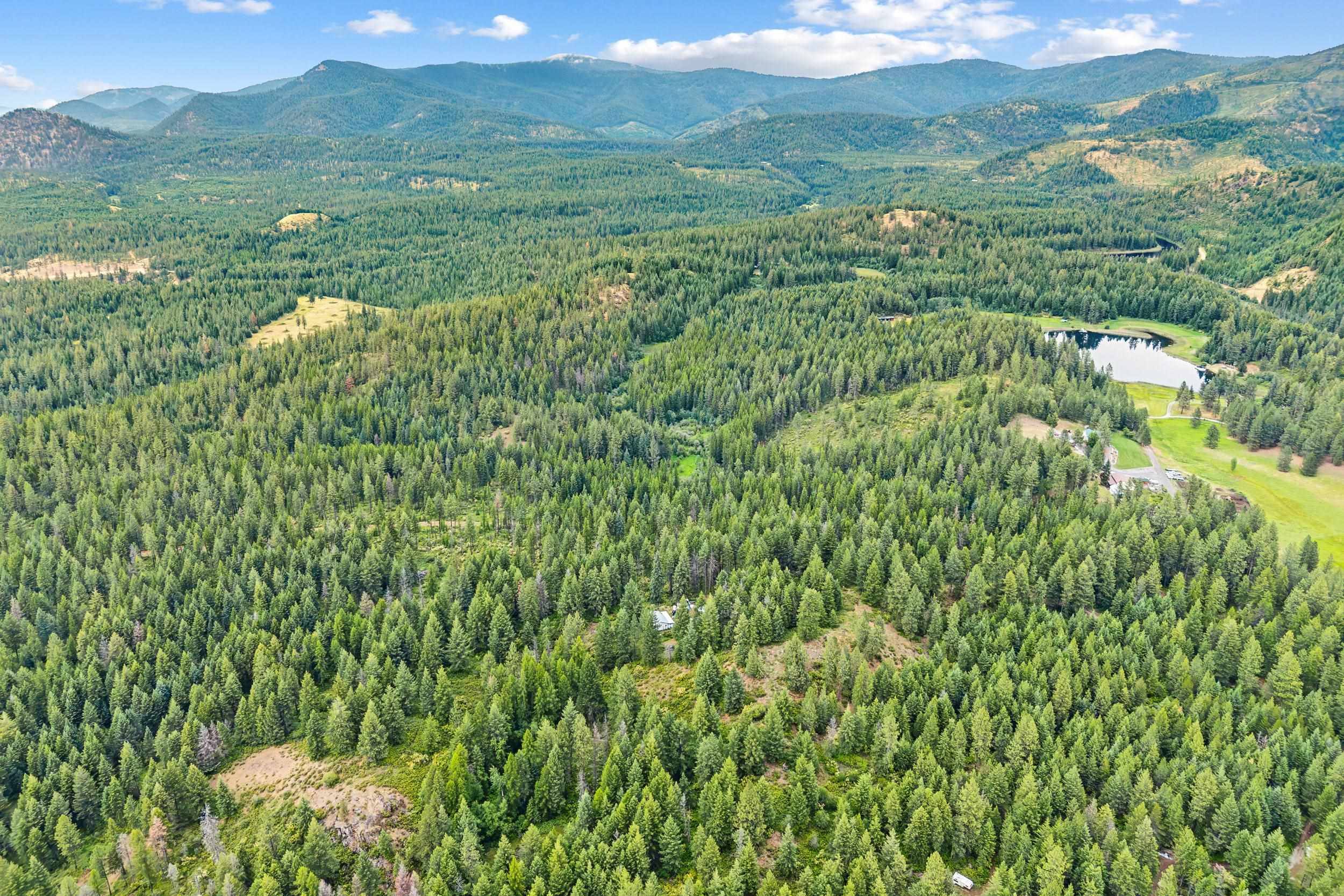 432X Bussard Lake Rd - Photo 3