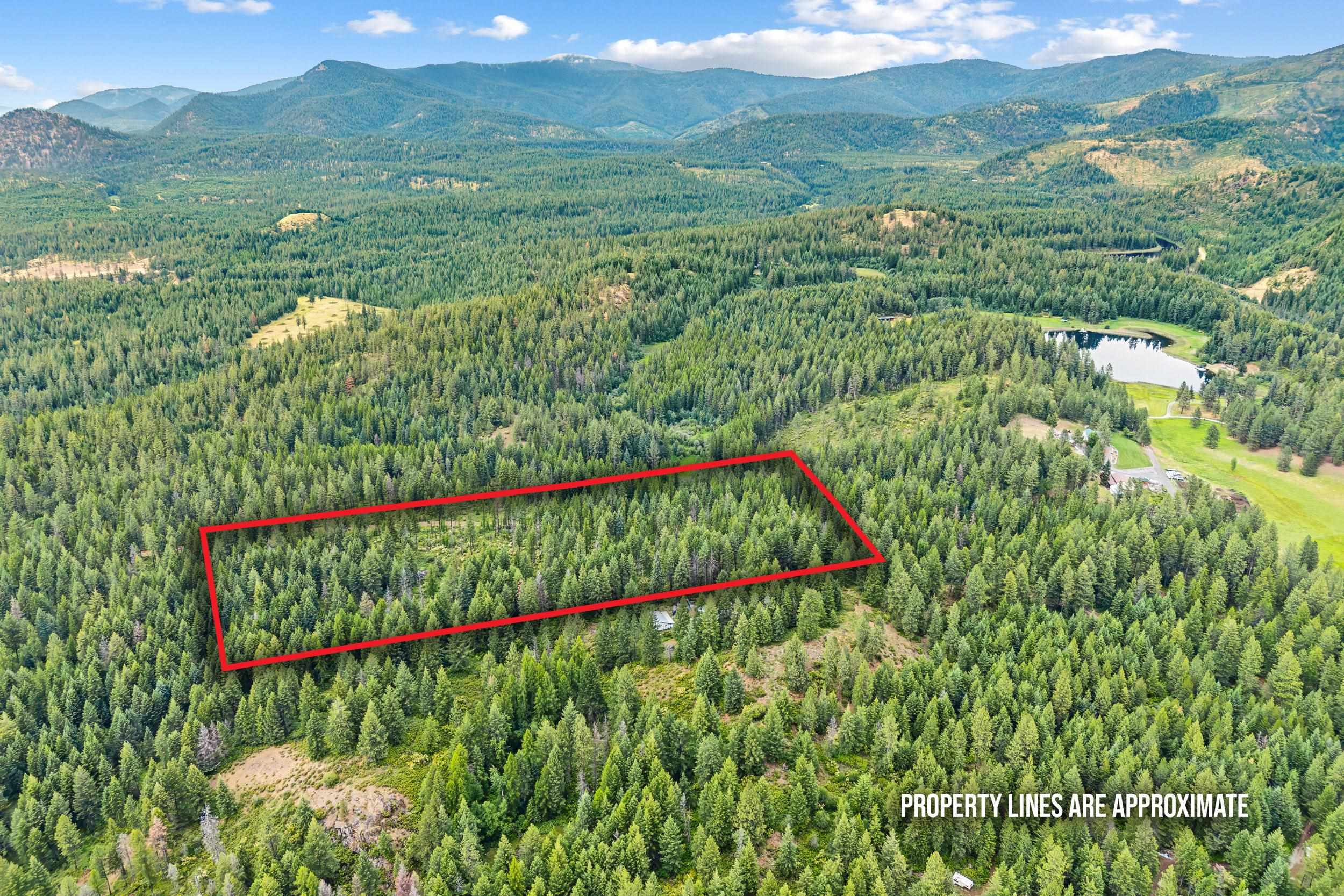 432X Bussard Lake Rd - Photo 1