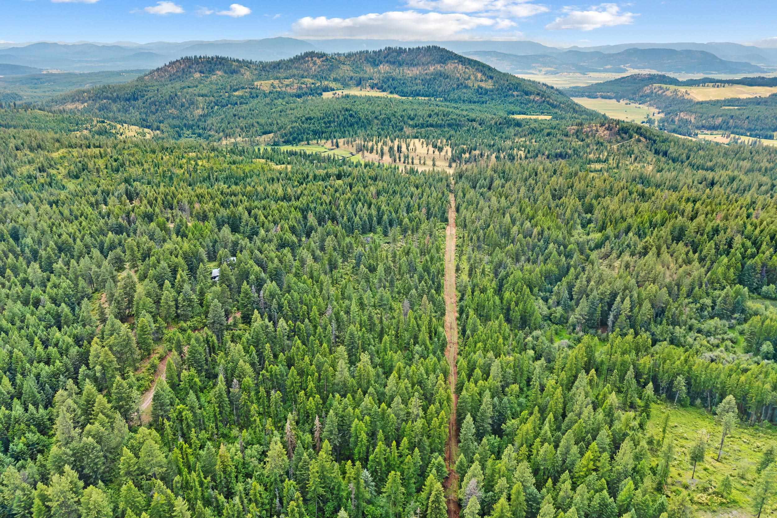 432X Bussard Lake Rd - Photo 2