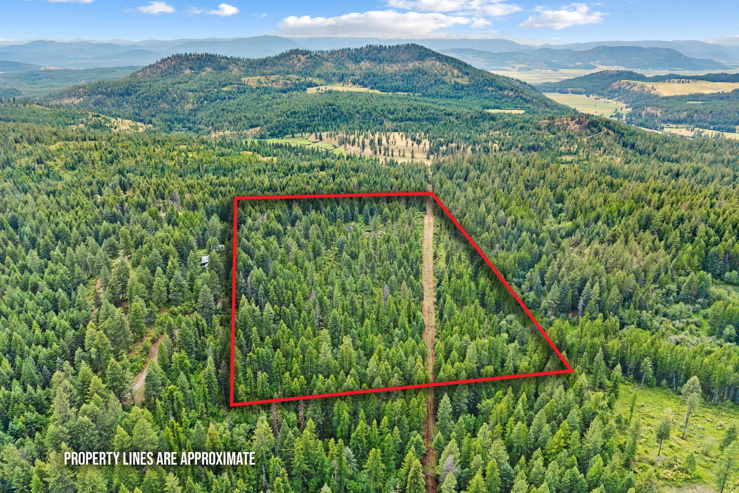 432X Bussard Lake Rd - Photo 4