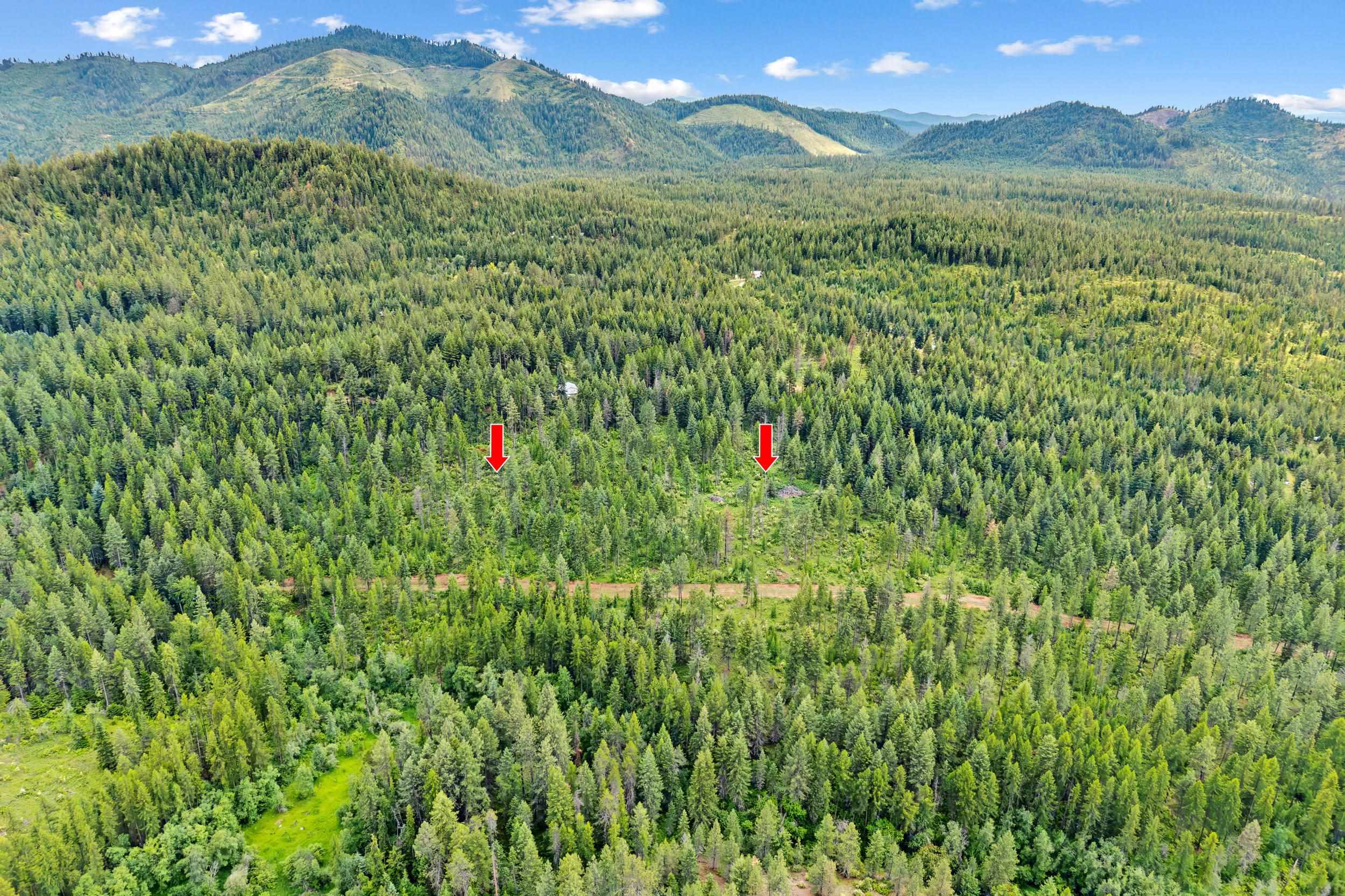 432X Bussard Lake Rd - Photo 5