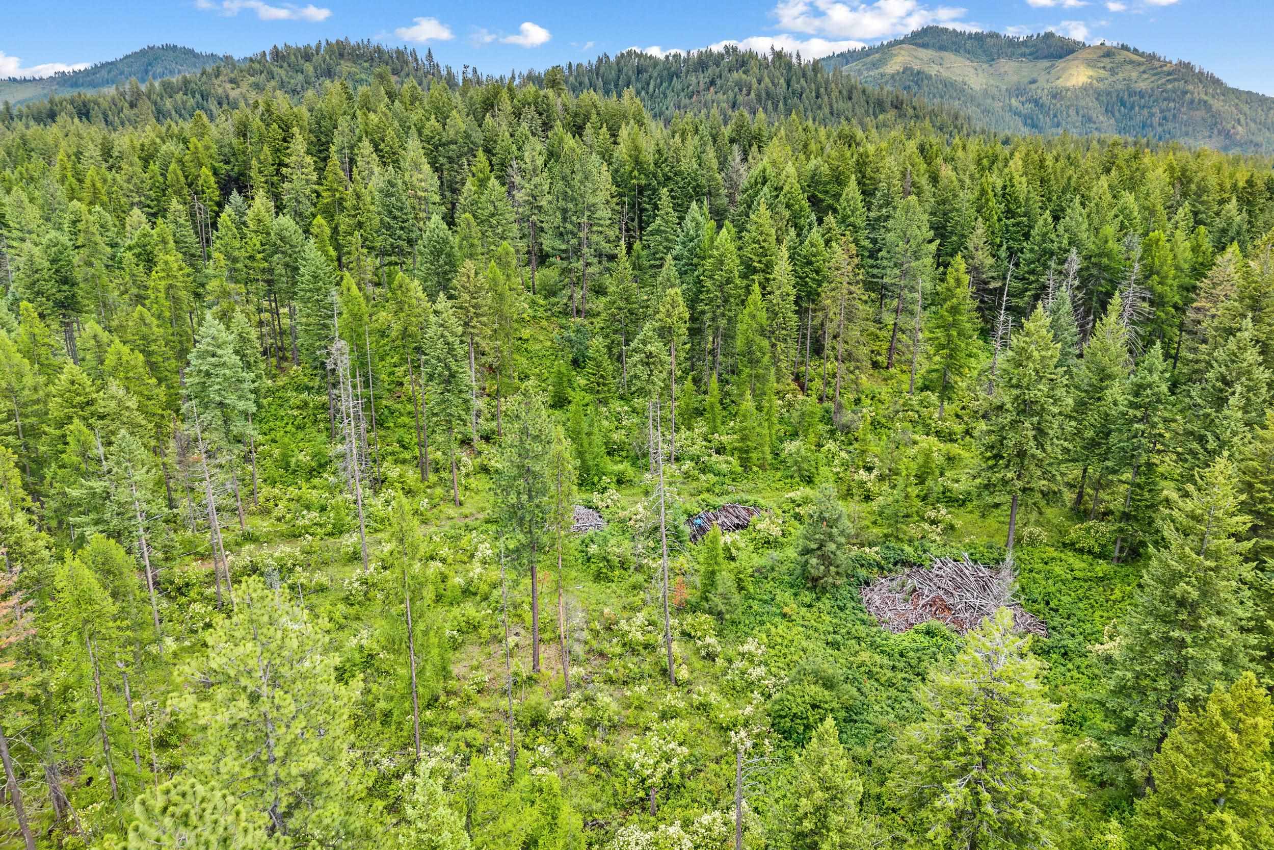 432X Bussard Lake Rd - Photo 7