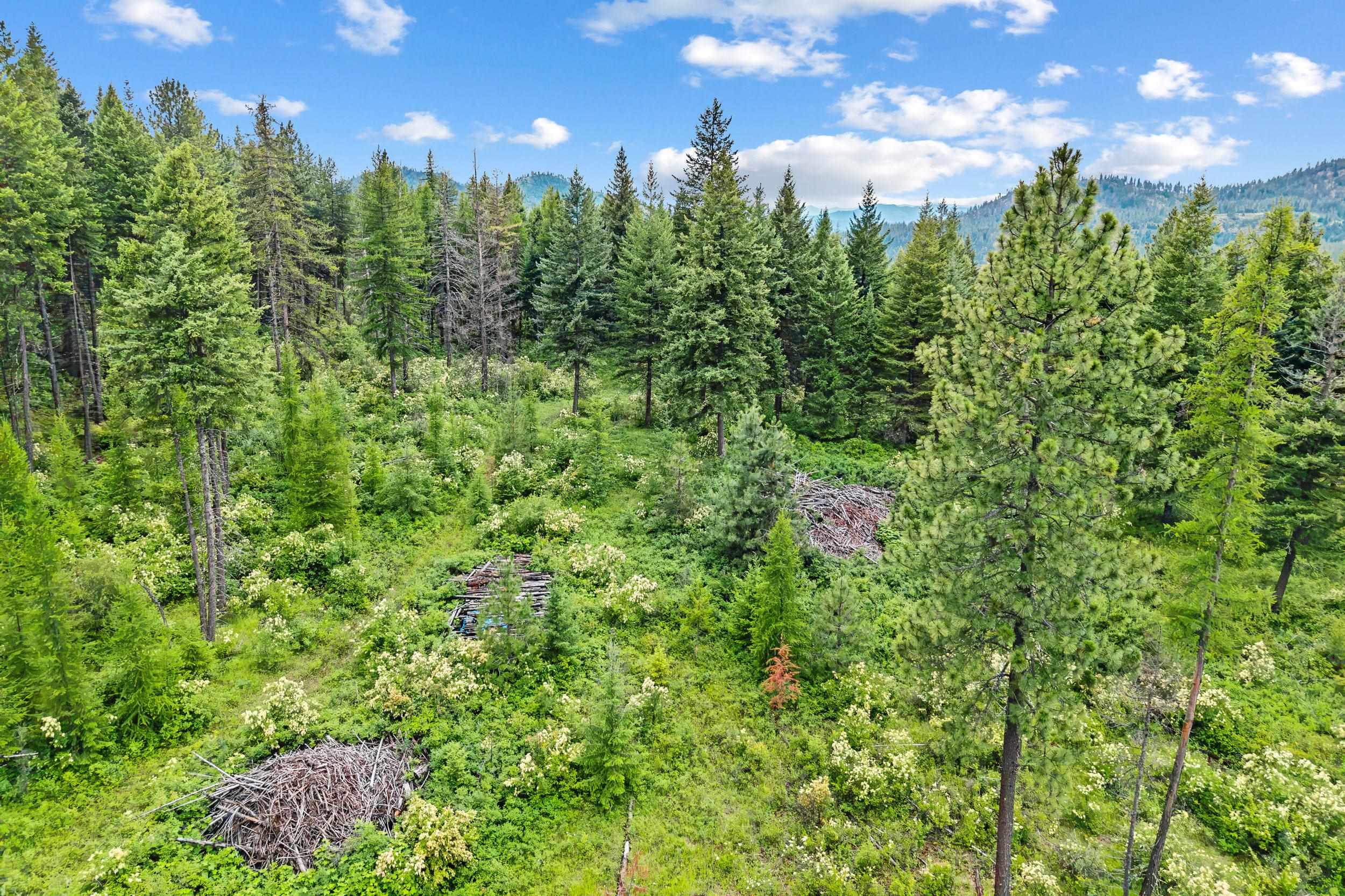 432X Bussard Lake Rd - Photo 9