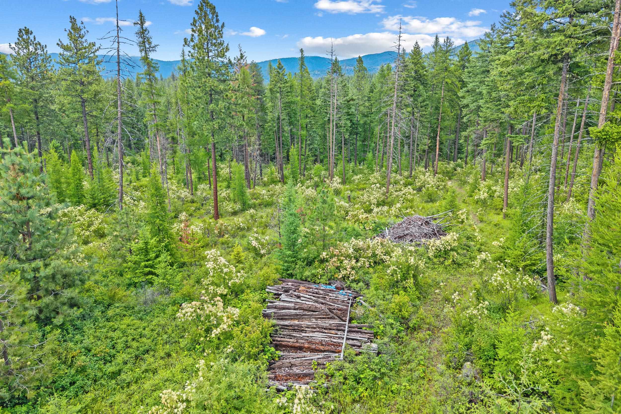 432X Bussard Lake Rd - Photo 8