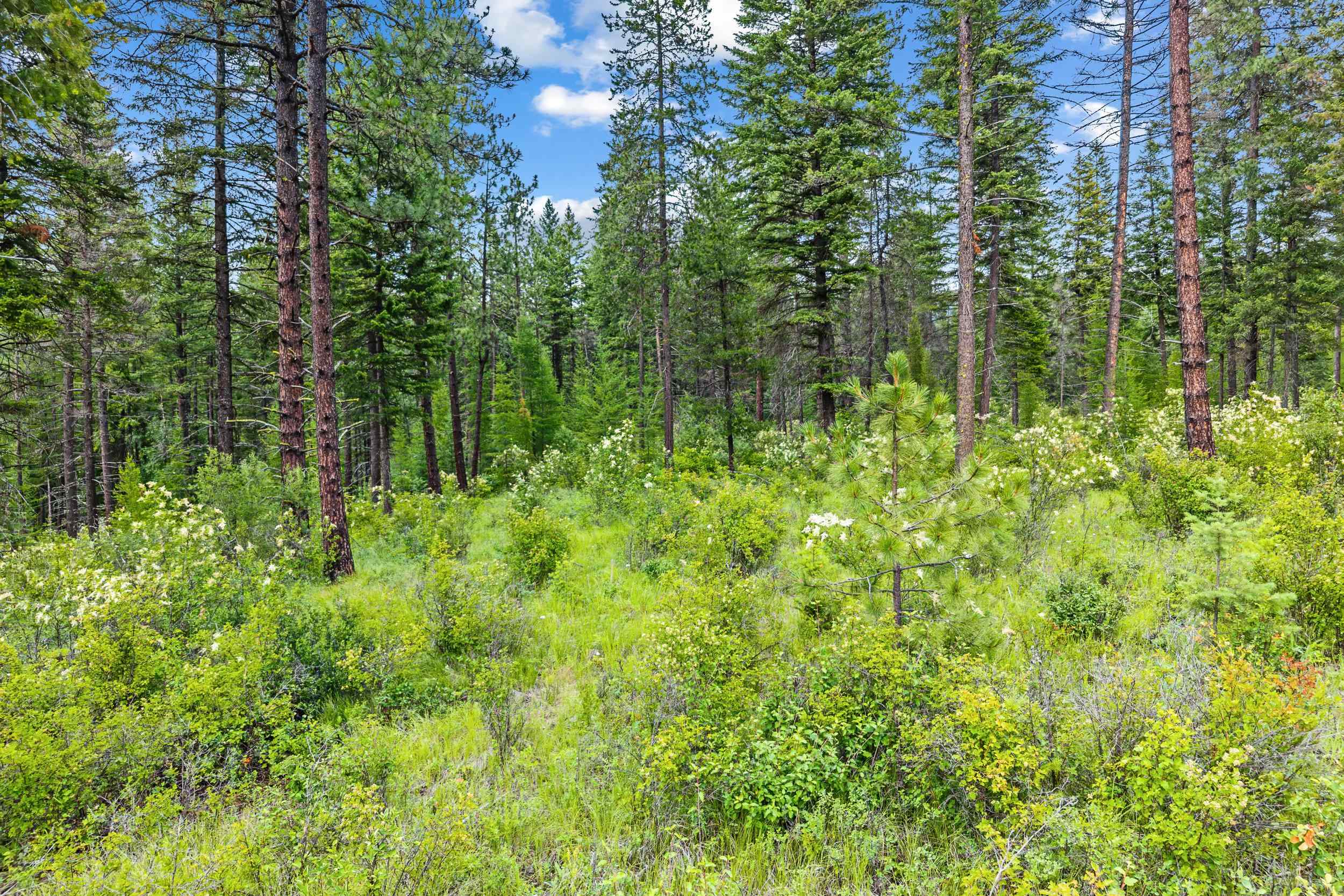 432X Bussard Lake Rd - Photo 13