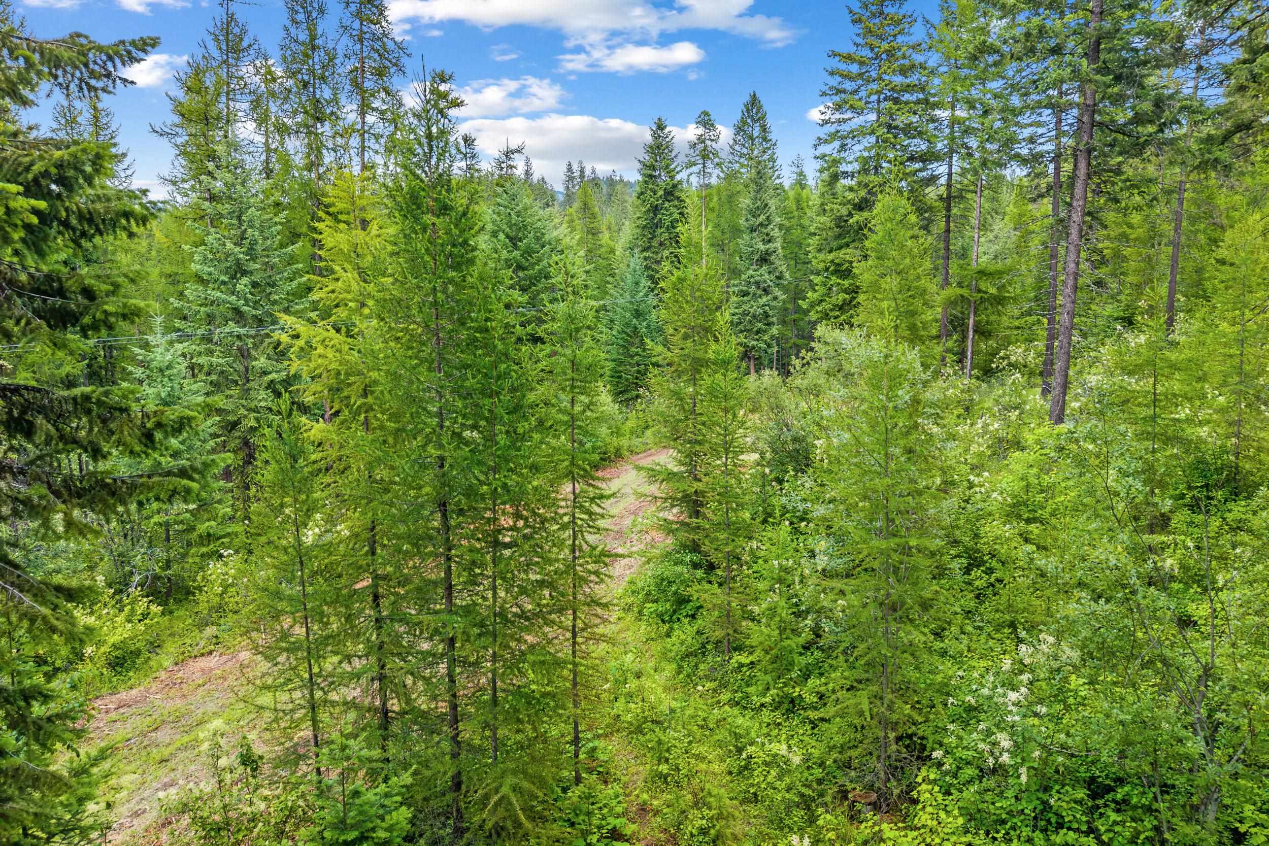 432X Bussard Lake Rd - Photo 18