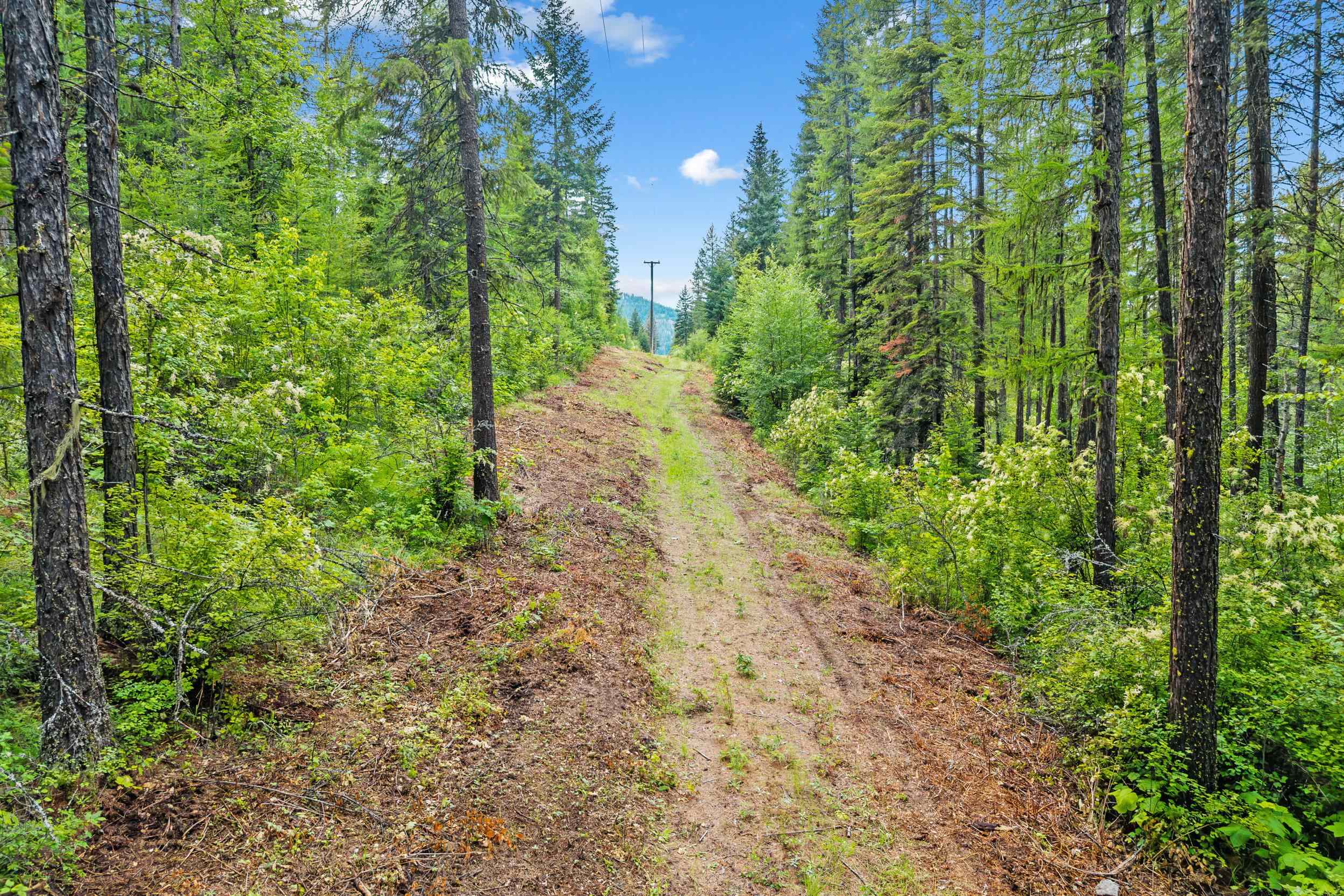 432X Bussard Lake Rd - Photo 20