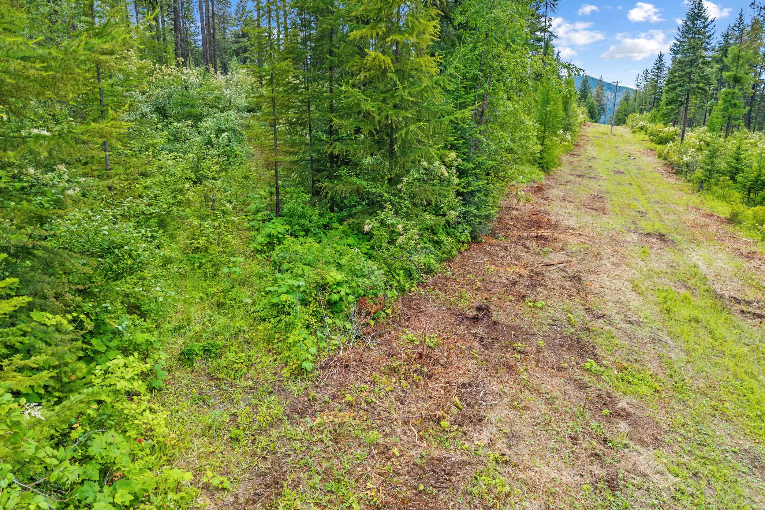 432X Bussard Lake Rd - Photo 22
