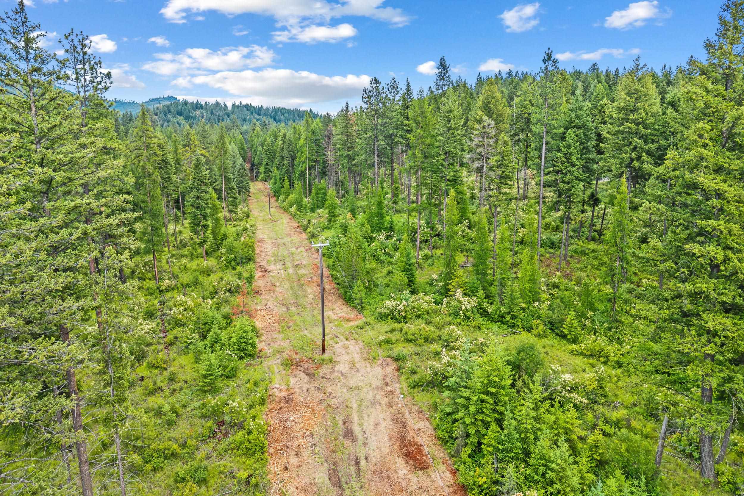 432X Bussard Lake Rd - Photo 23