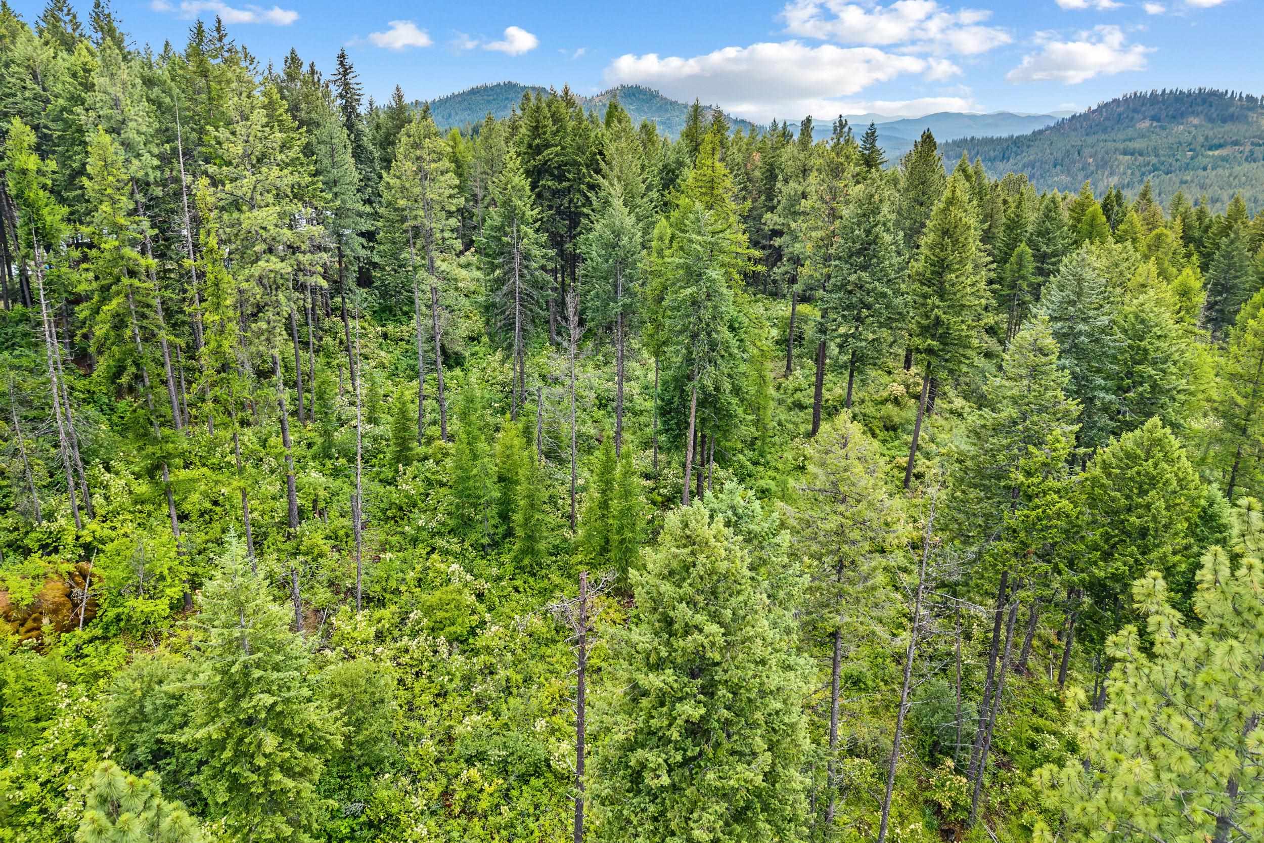 432X Bussard Lake Rd - Photo 25